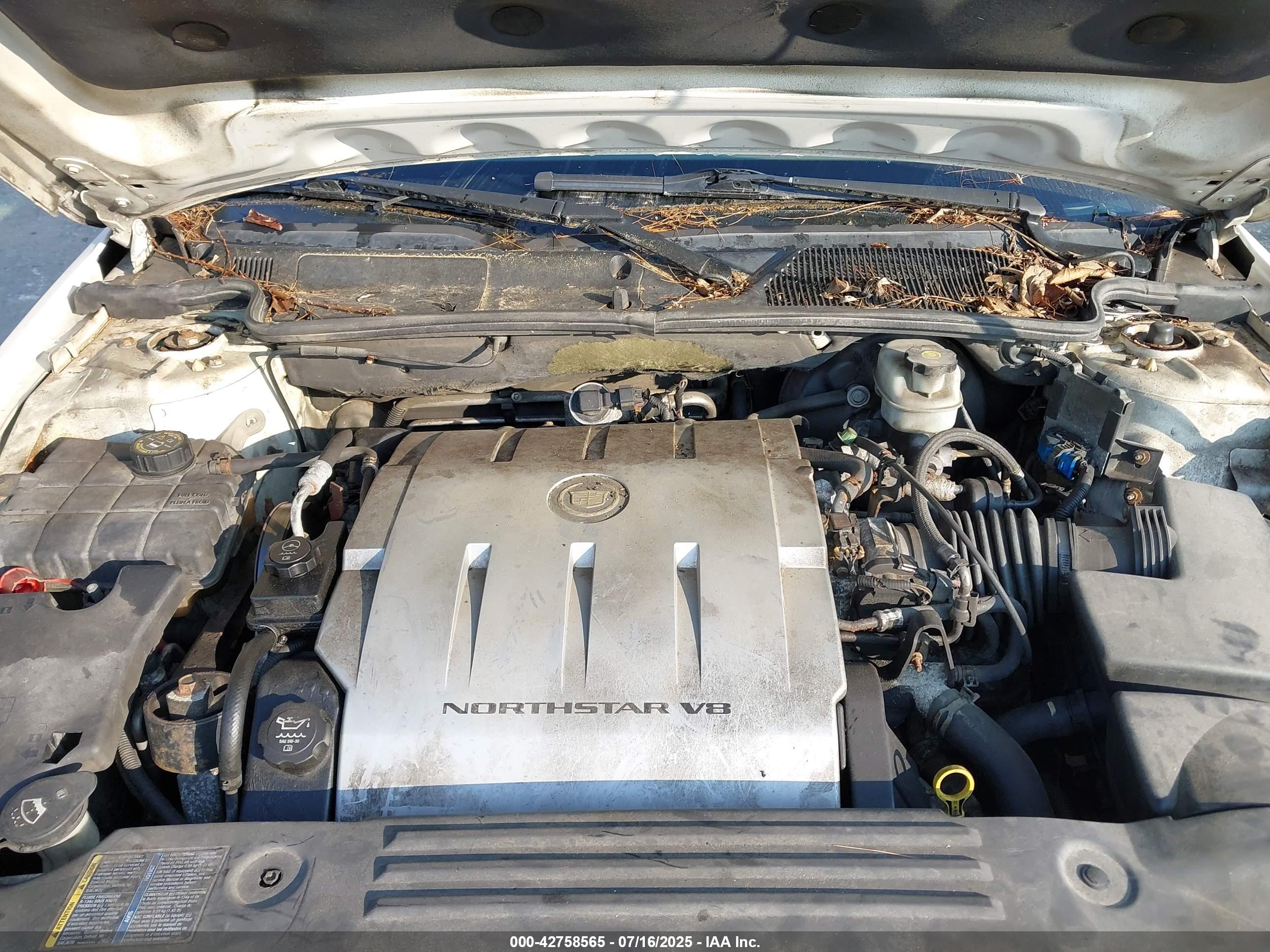 CADILLAC DTS image 10