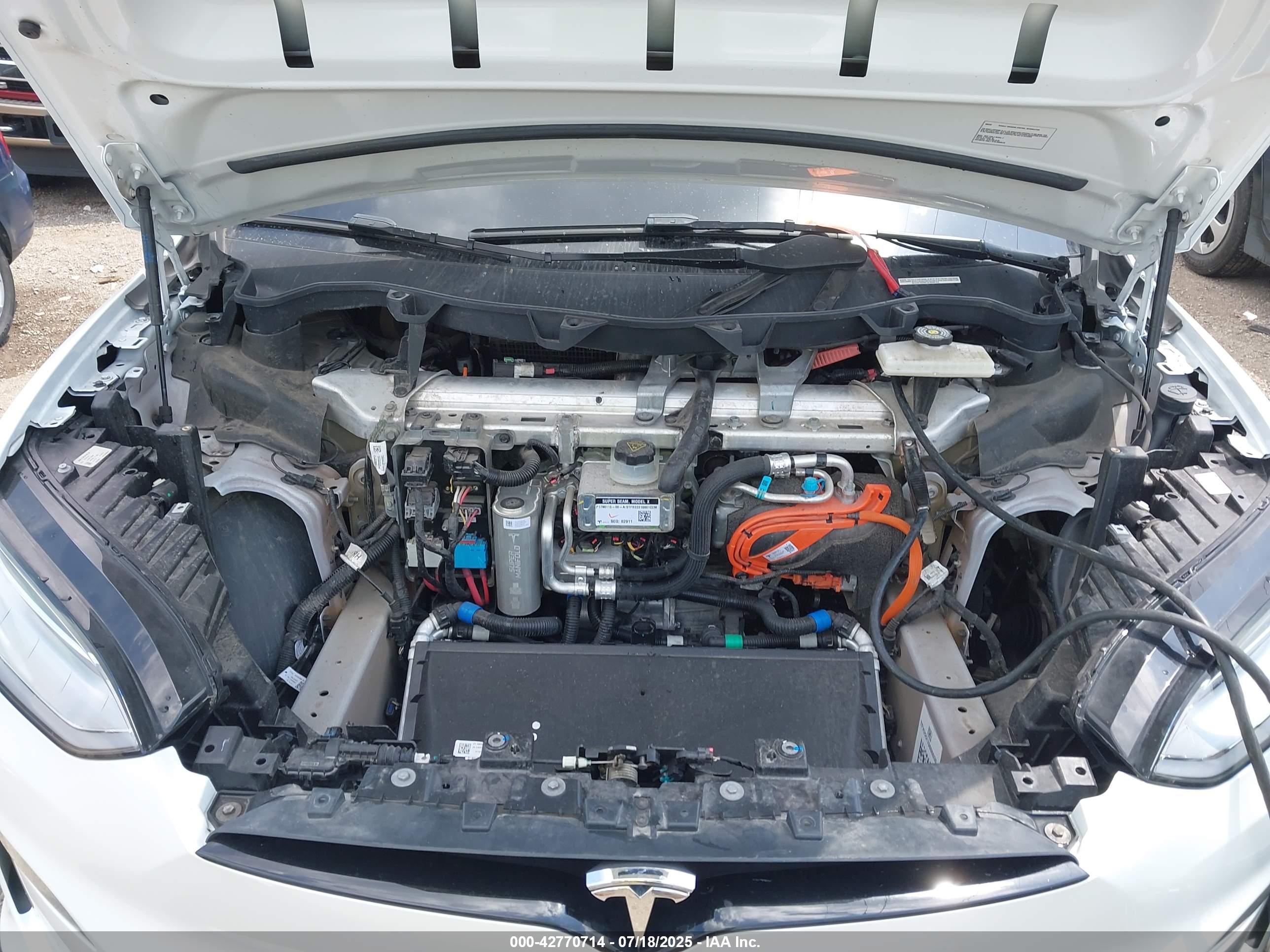 TESLA MODEL image 10