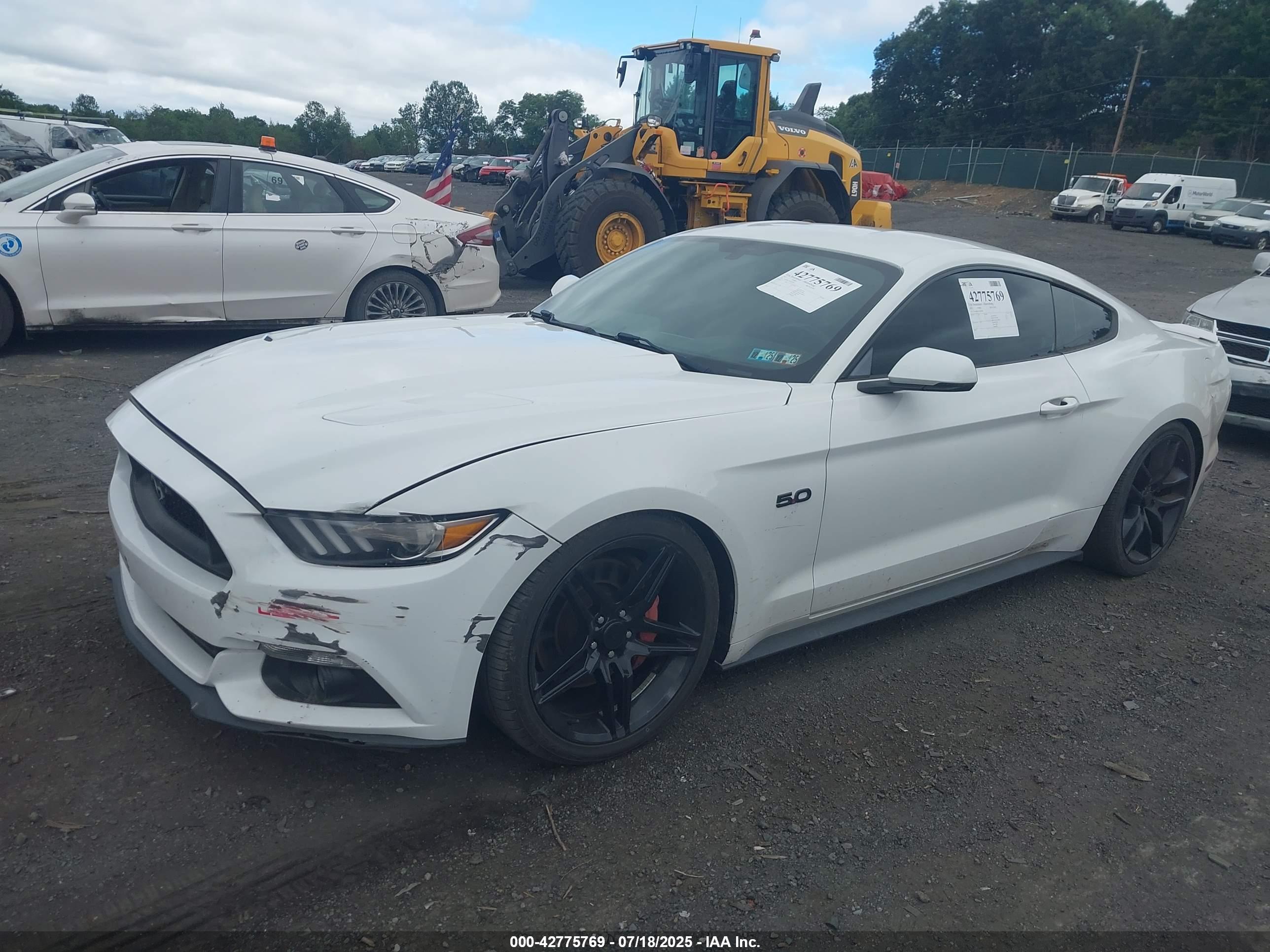 FORD MUSTANG image 2