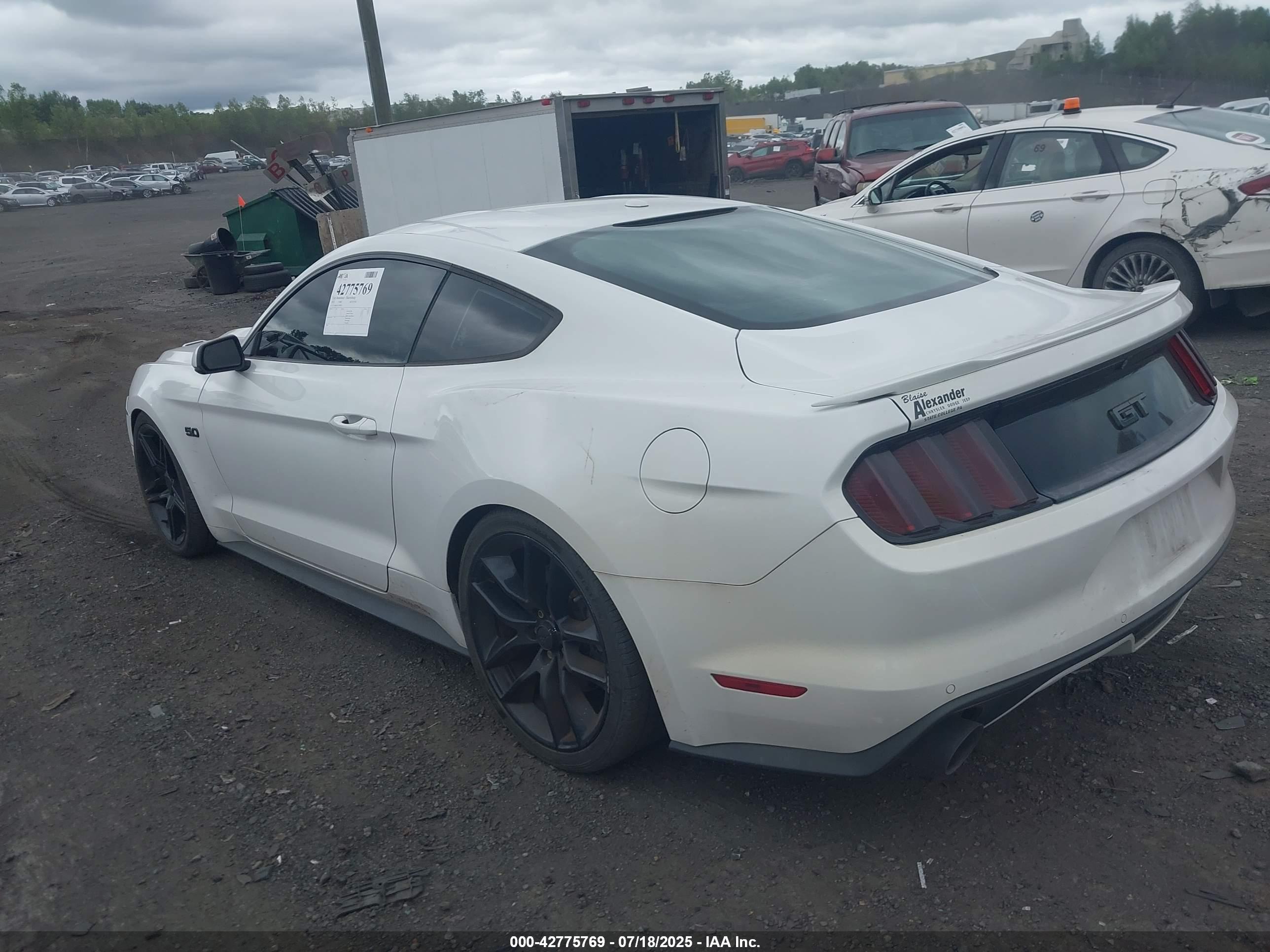 FORD MUSTANG image 3