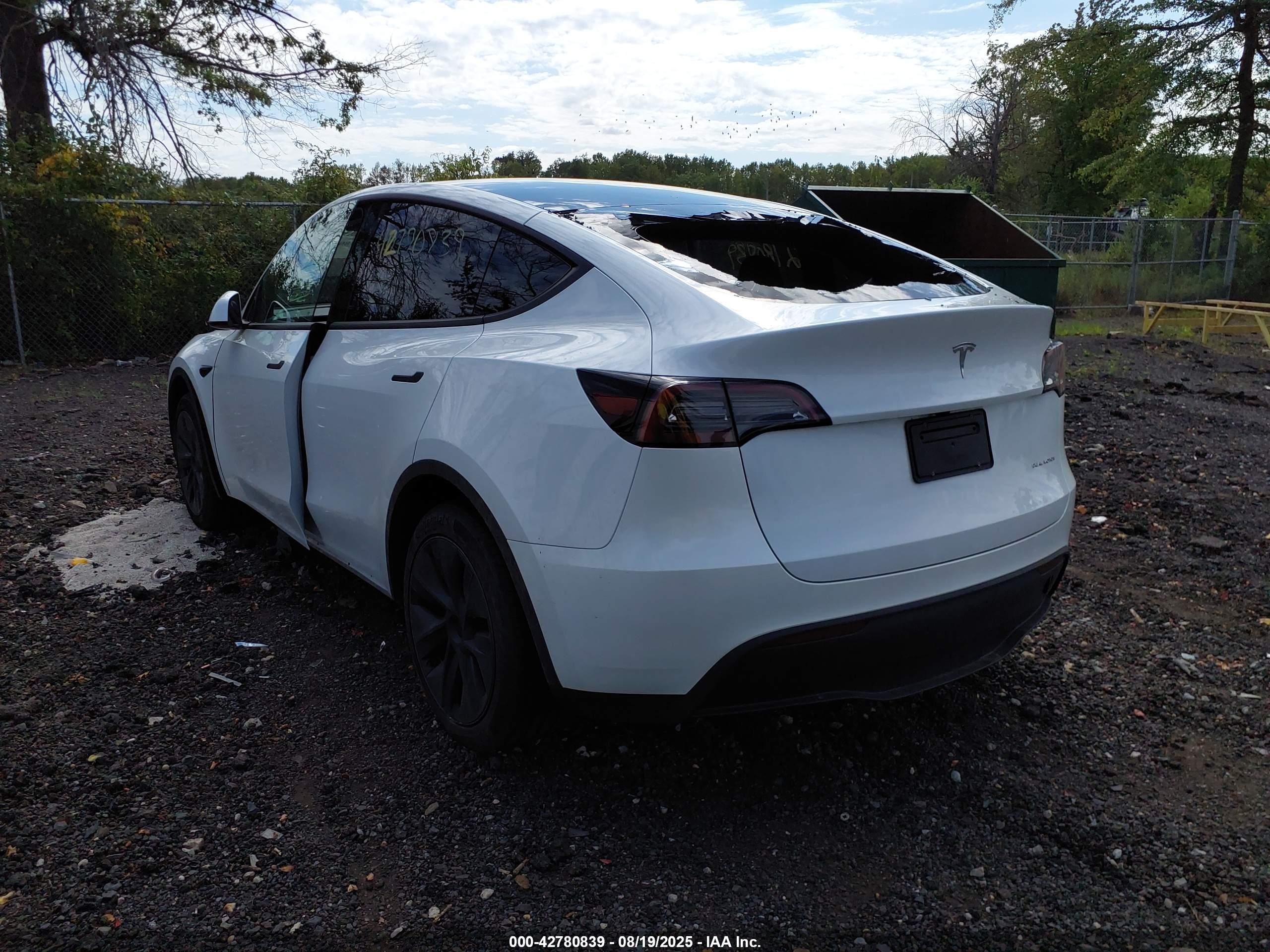 TESLA MODEL image 3
