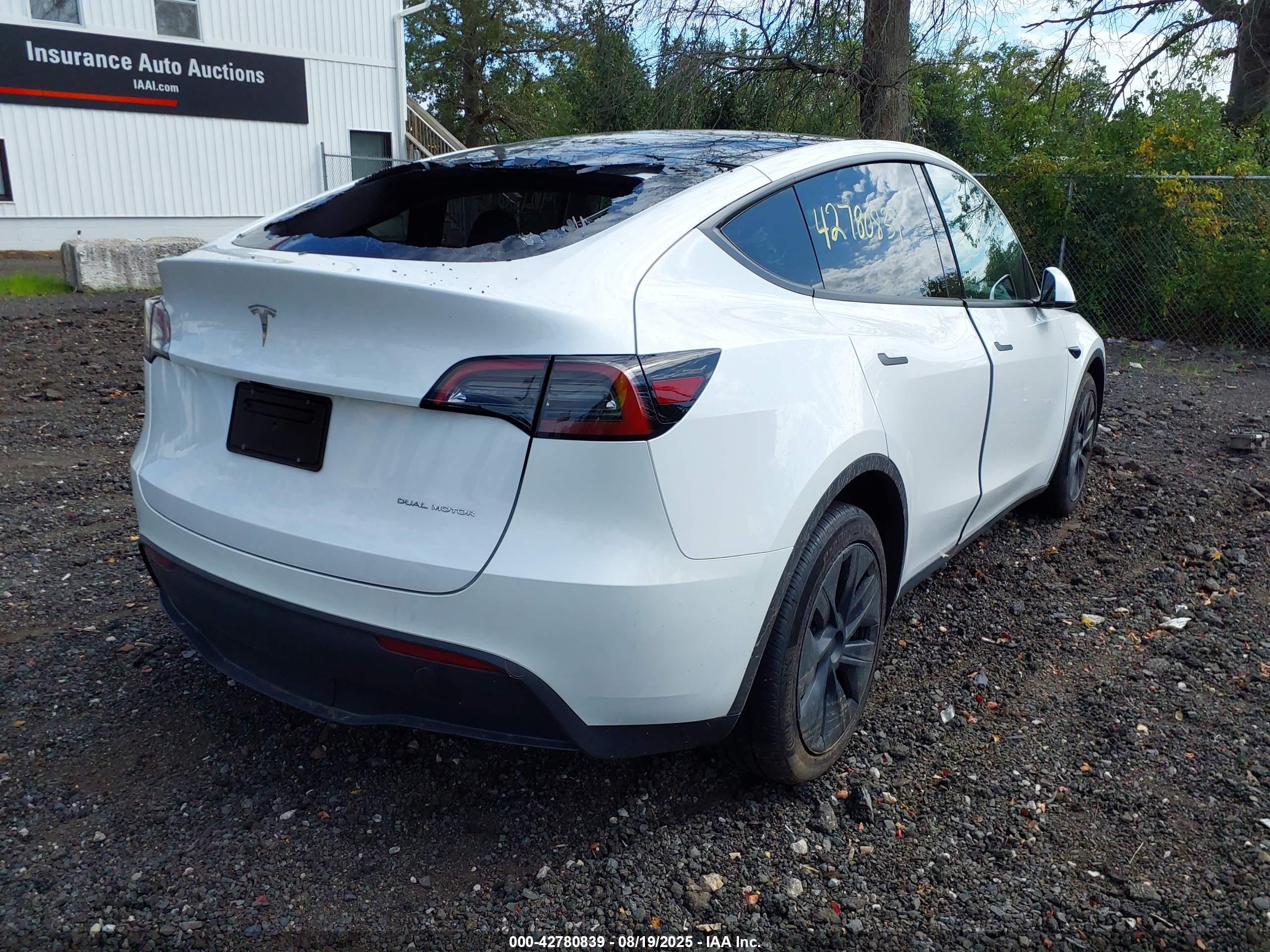 TESLA MODEL image 4