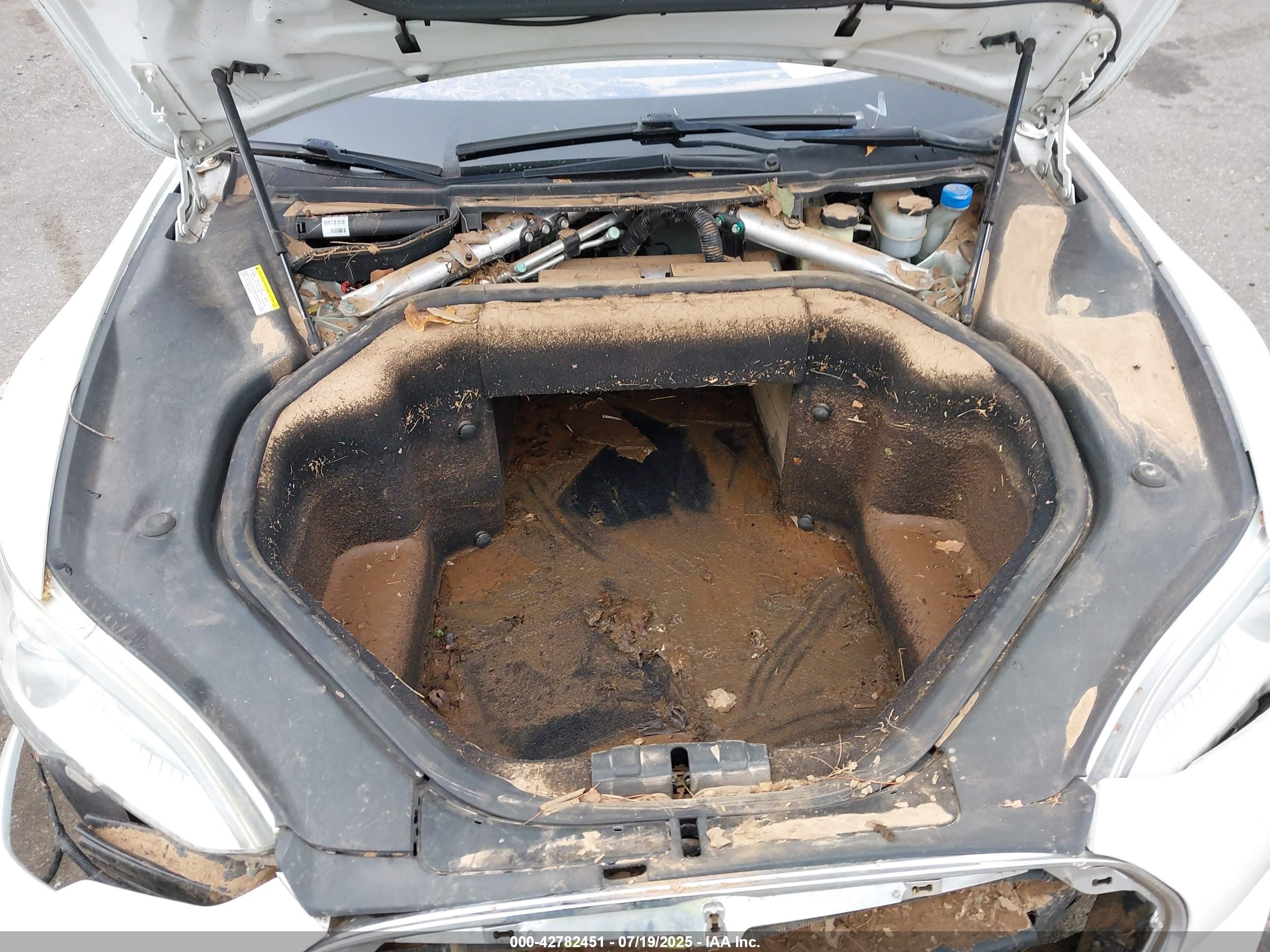 TESLA MODEL image 10