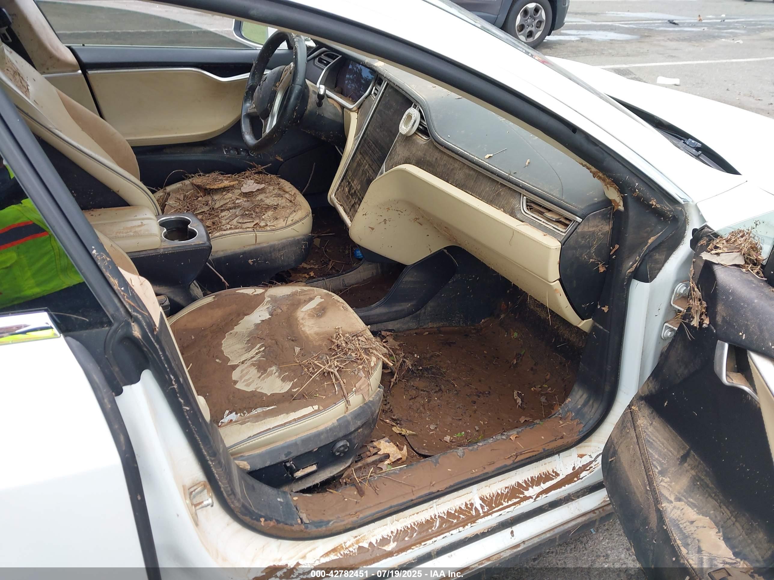 TESLA MODEL image 5