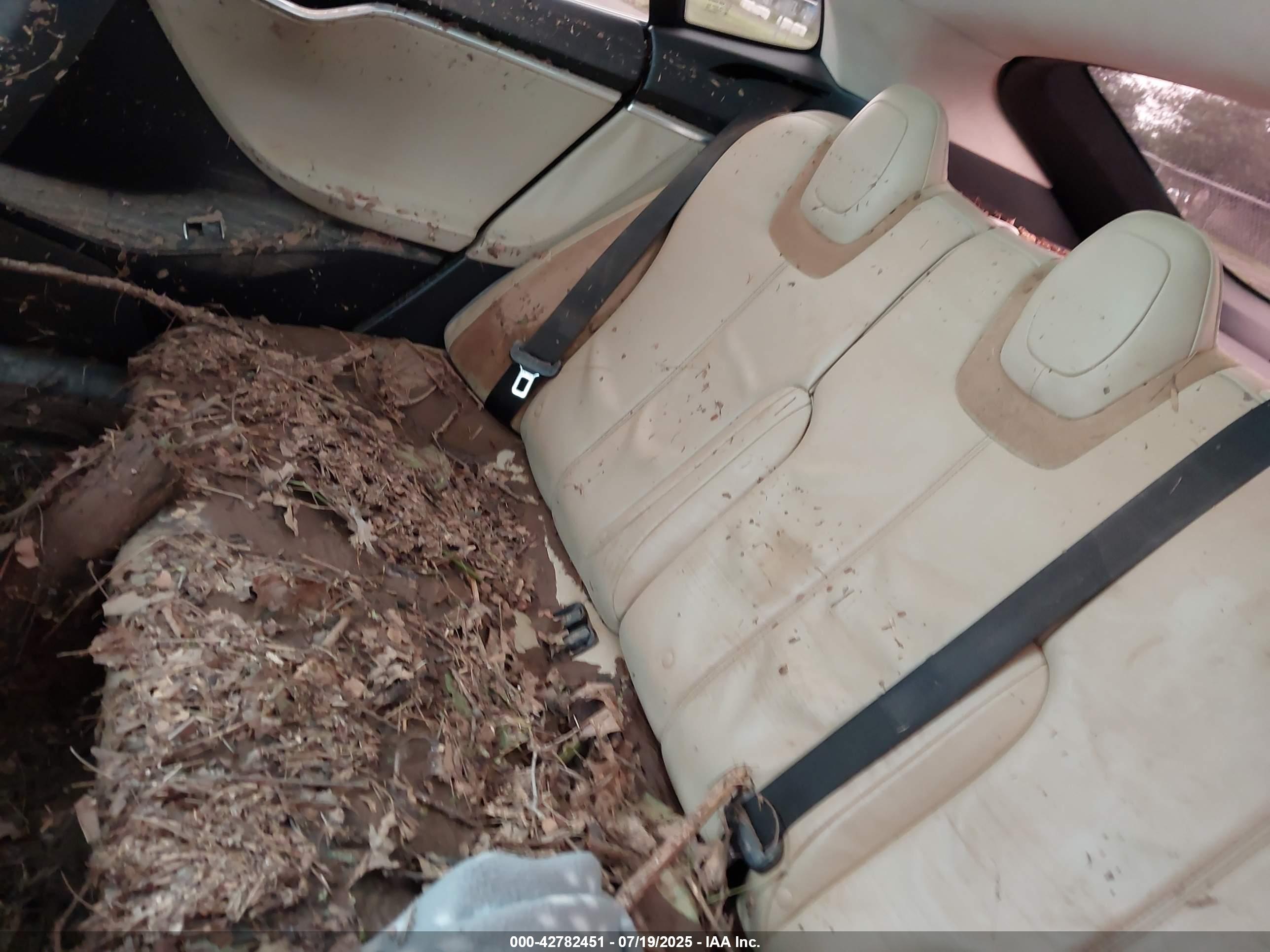 TESLA MODEL image 8