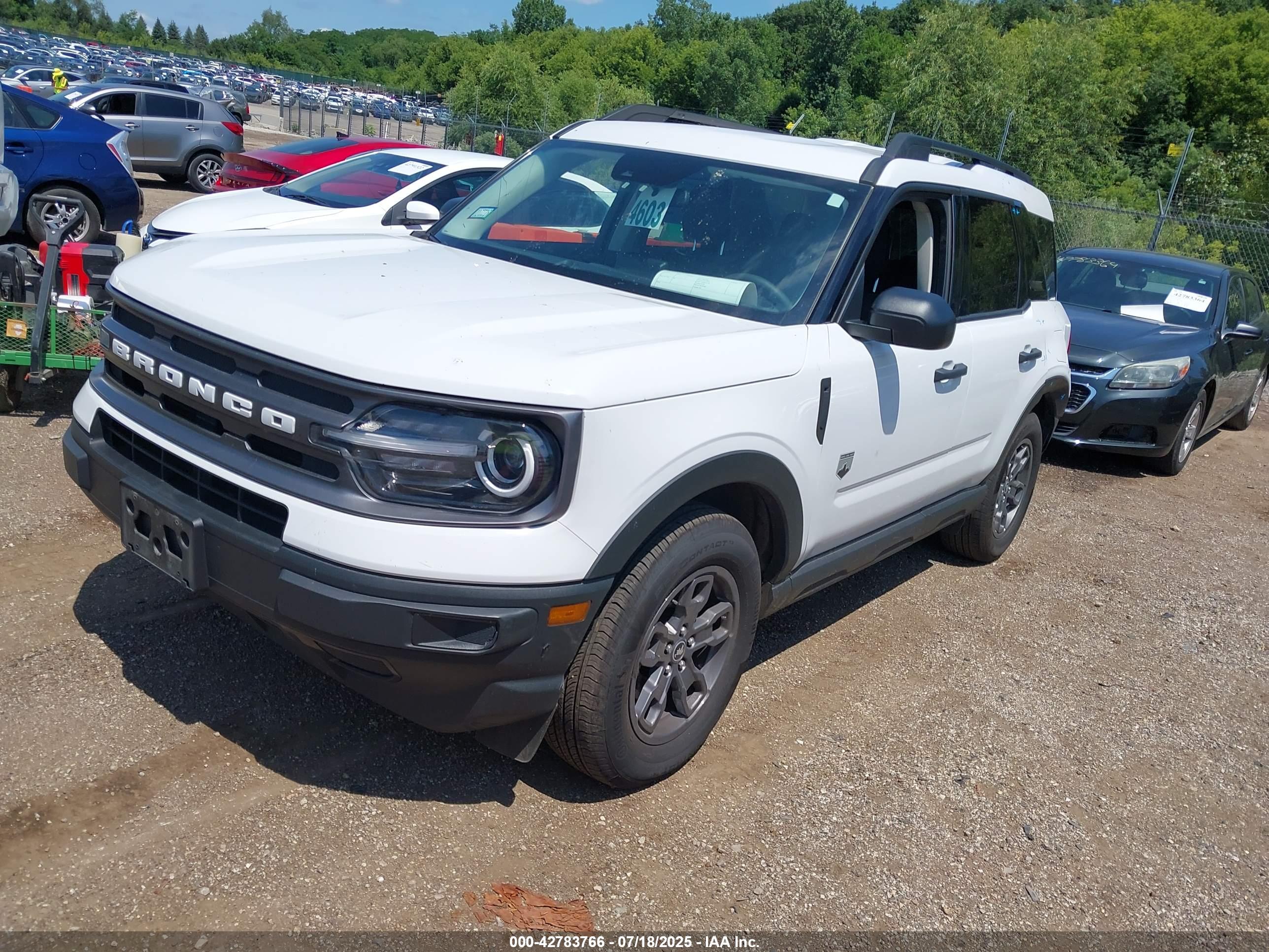 FORD BRONCO image 2