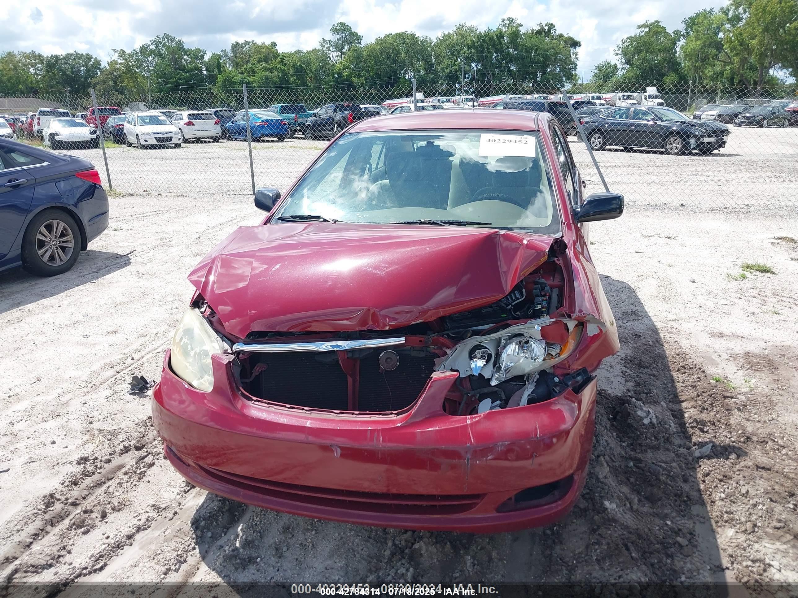 TOYOTA COROLLA image 6