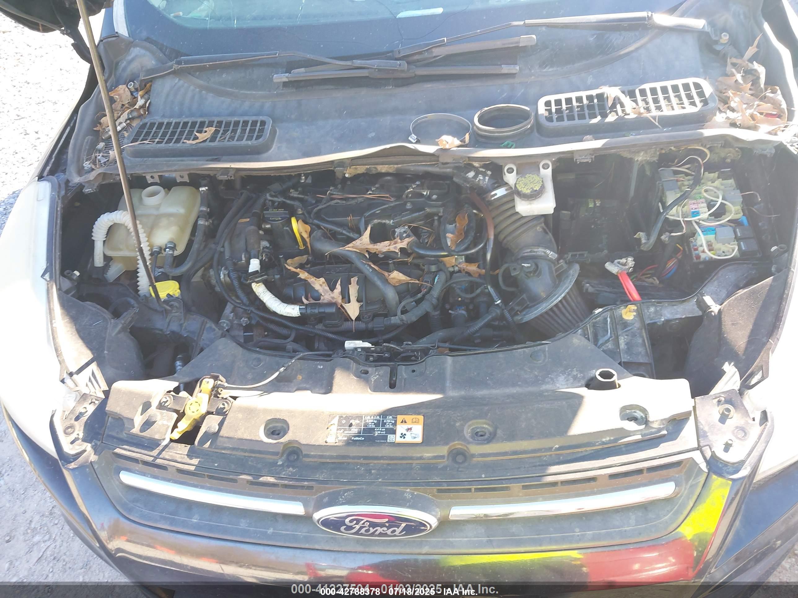 FORD ESCAPE image 10