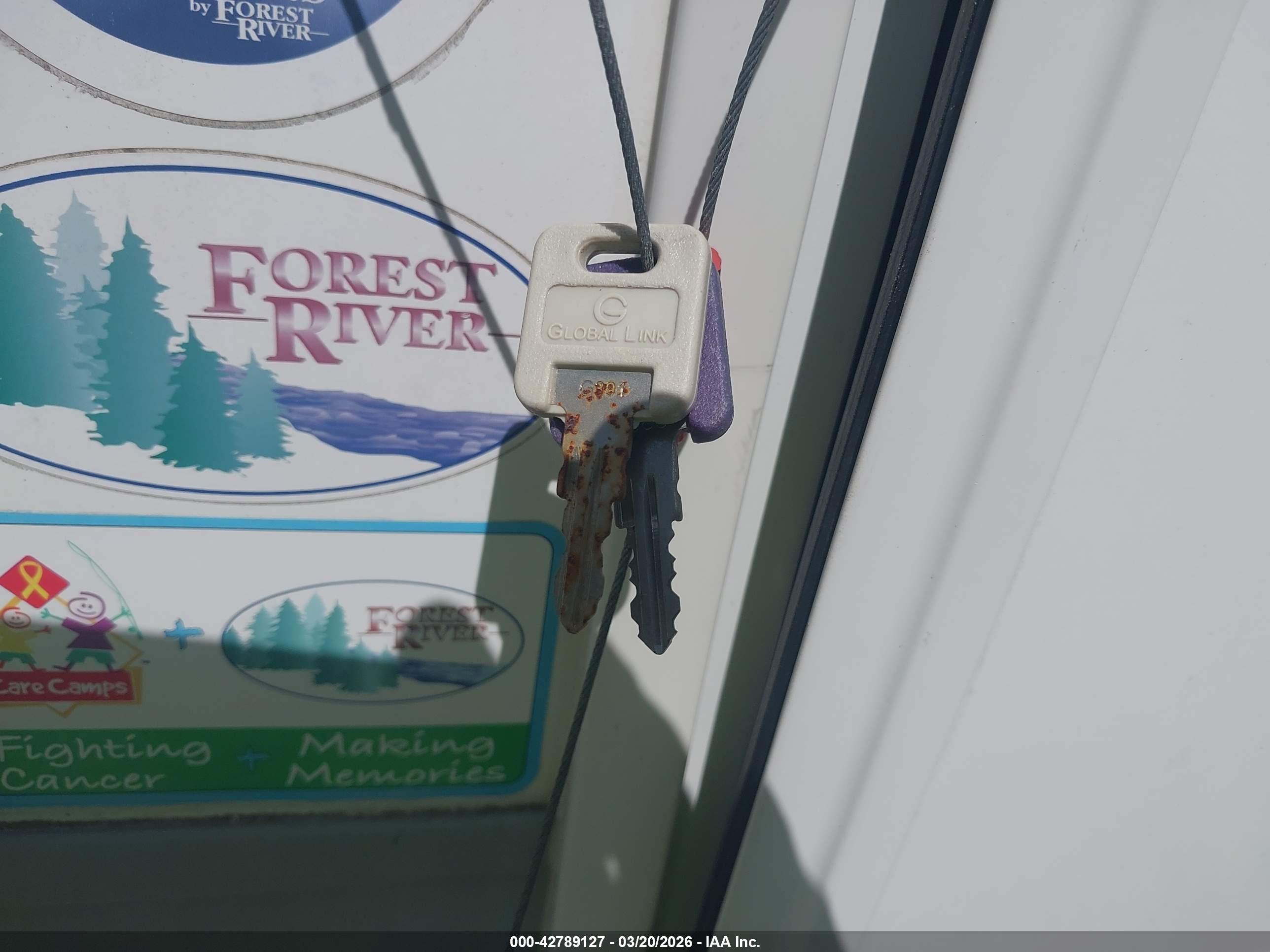 FOREST RIVER image 11