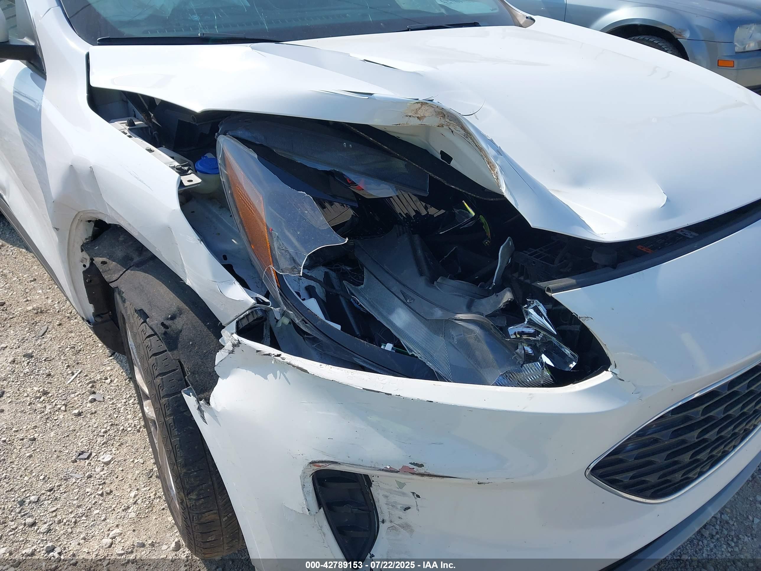 FORD ESCAPE image 6