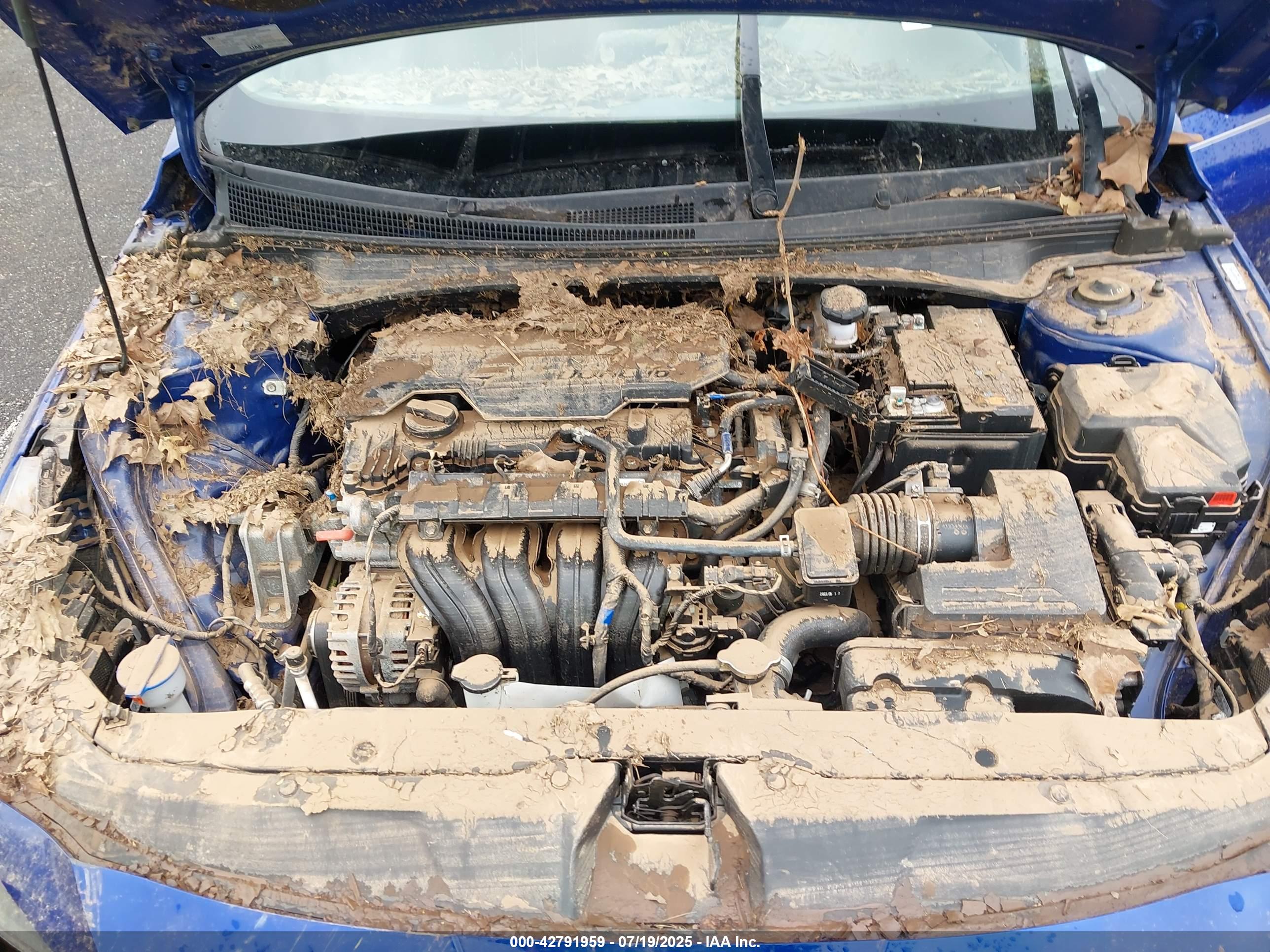 HYUNDAI ELANTRA image 10