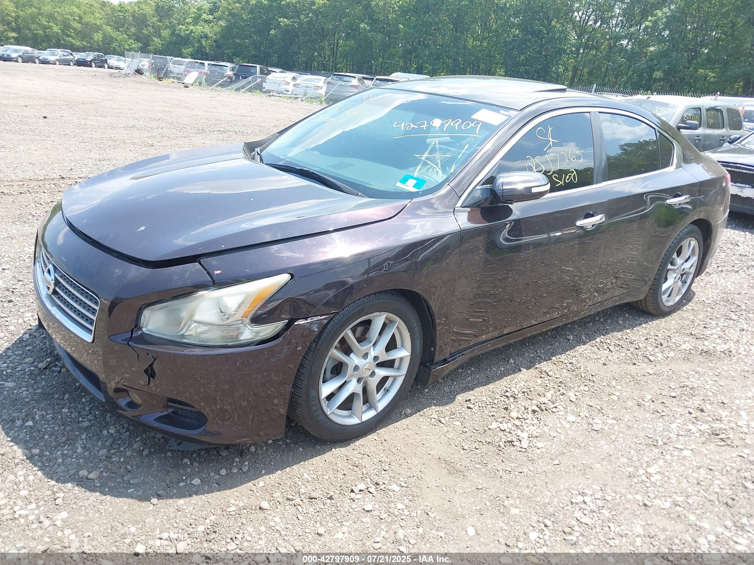 NISSAN MAXIMA image 2