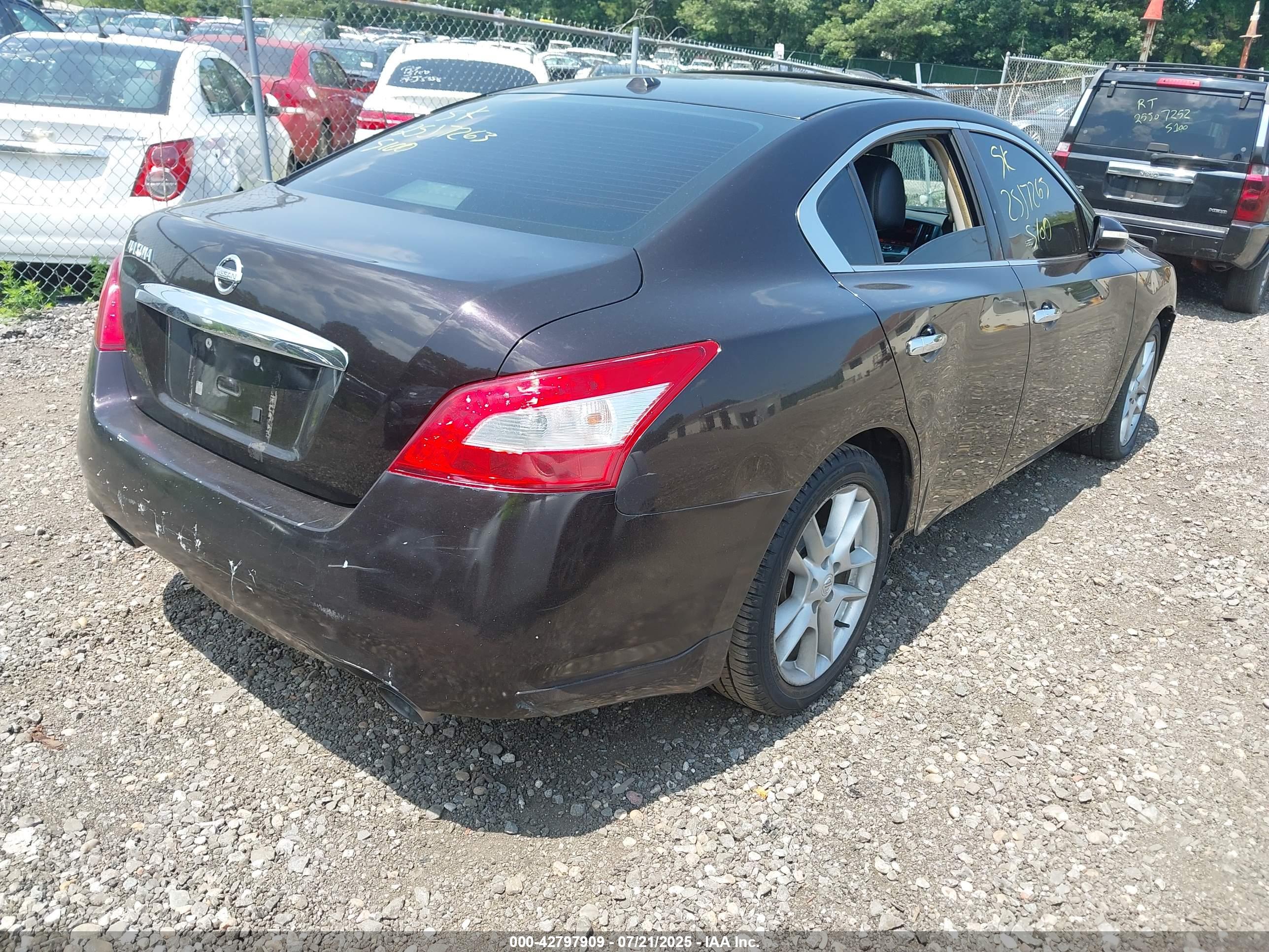 NISSAN MAXIMA image 4