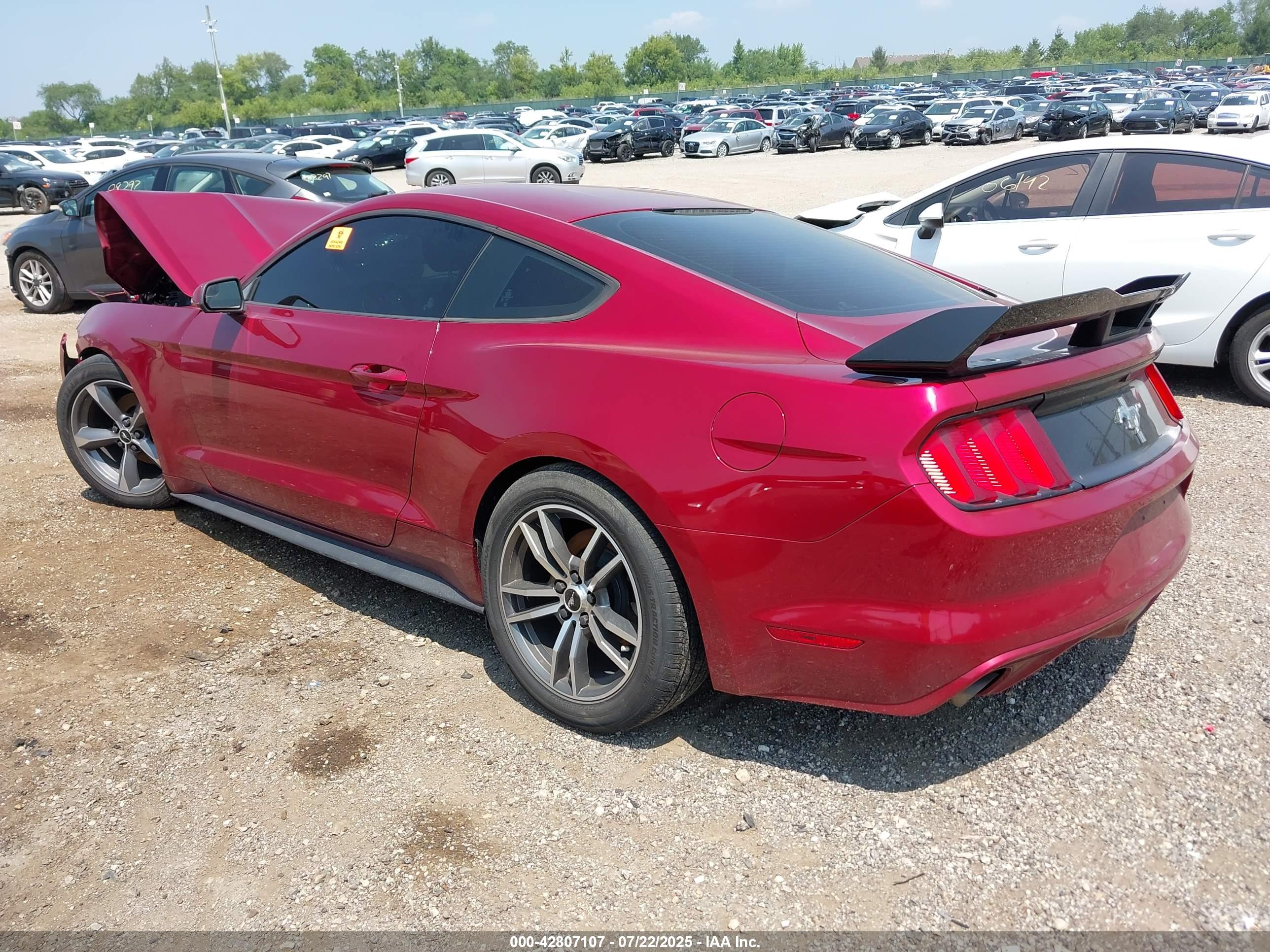 FORD MUSTANG image 3