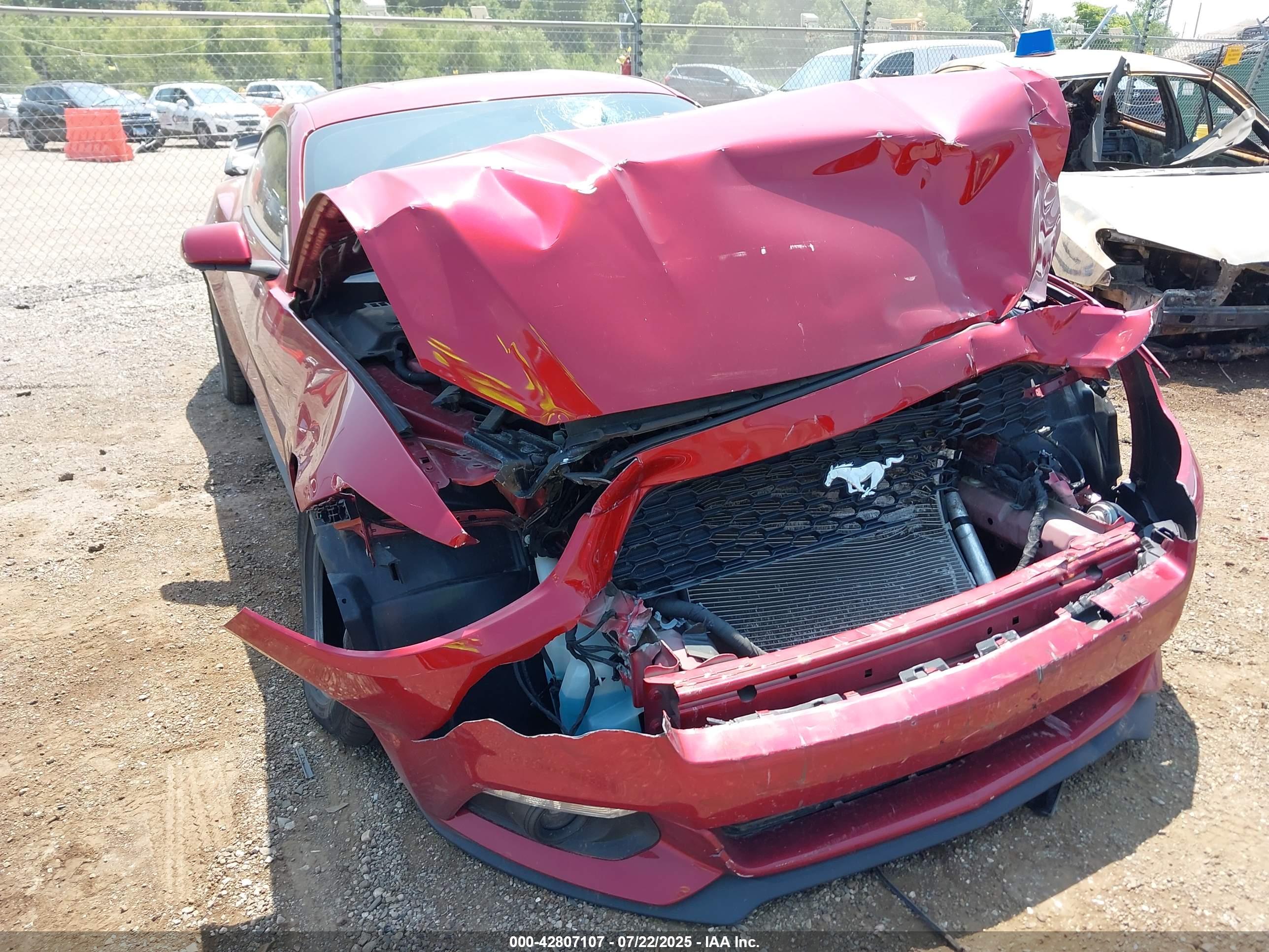 FORD MUSTANG image 6