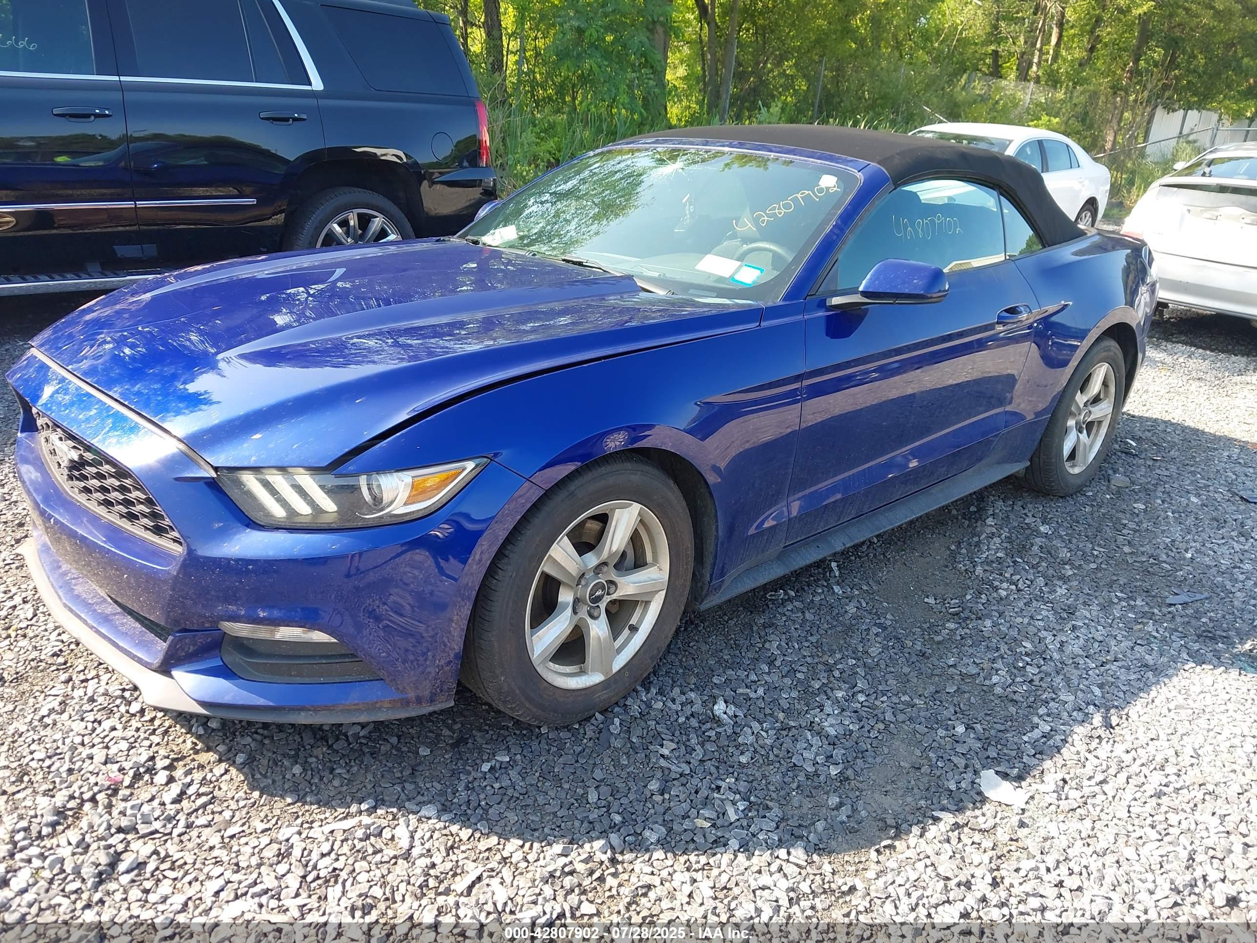 FORD MUSTANG image 2