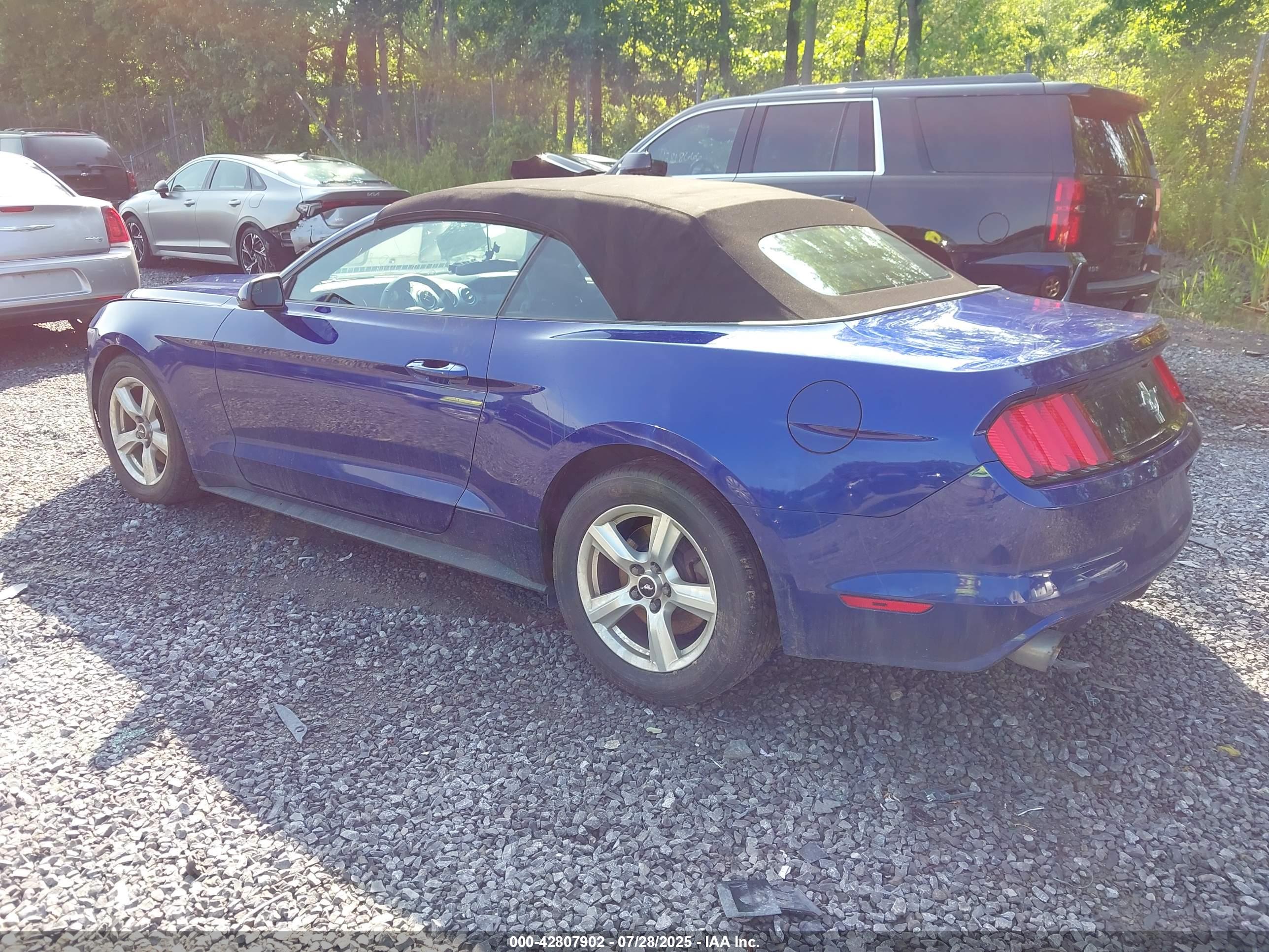 FORD MUSTANG image 3