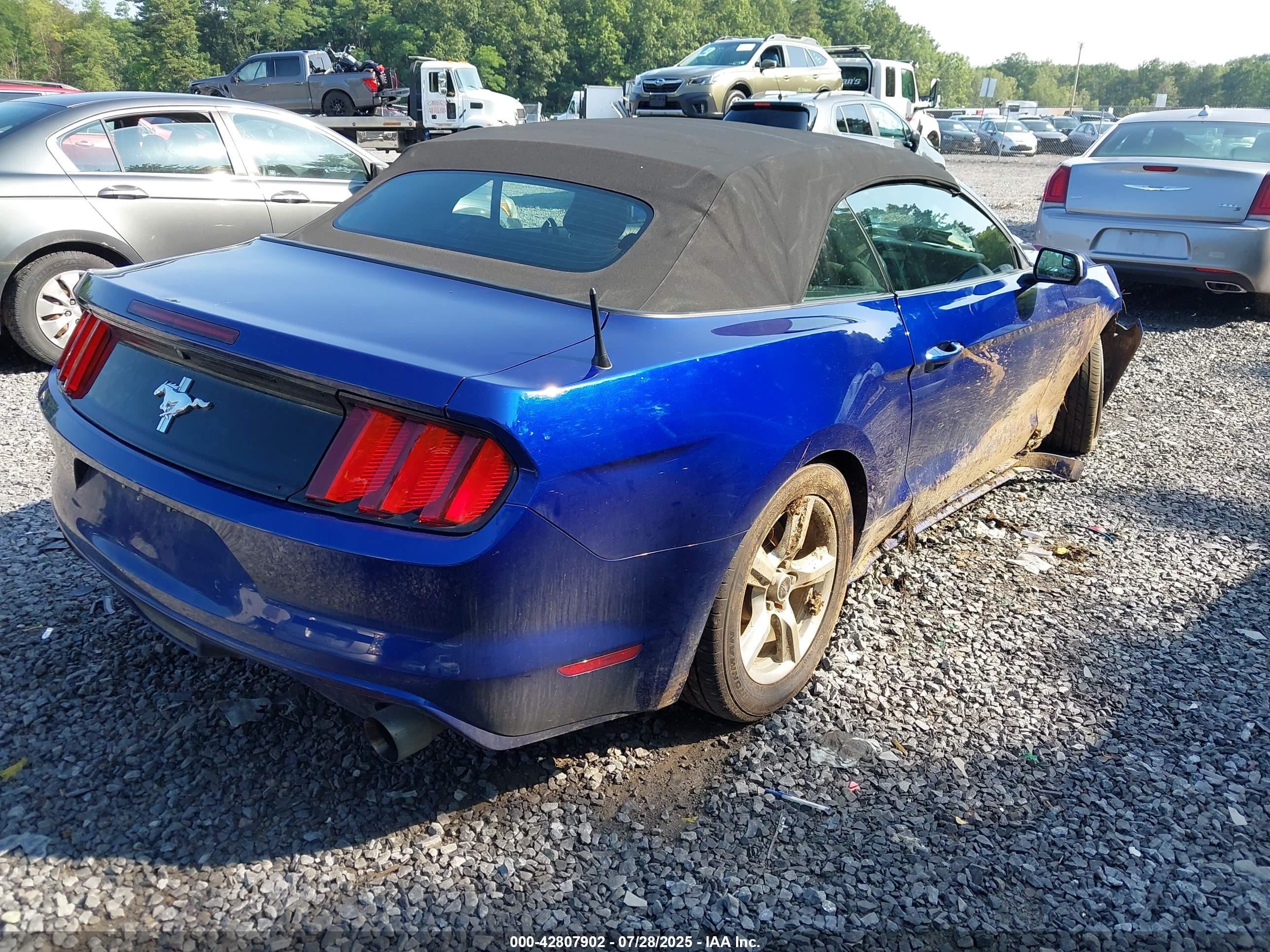 FORD MUSTANG image 4