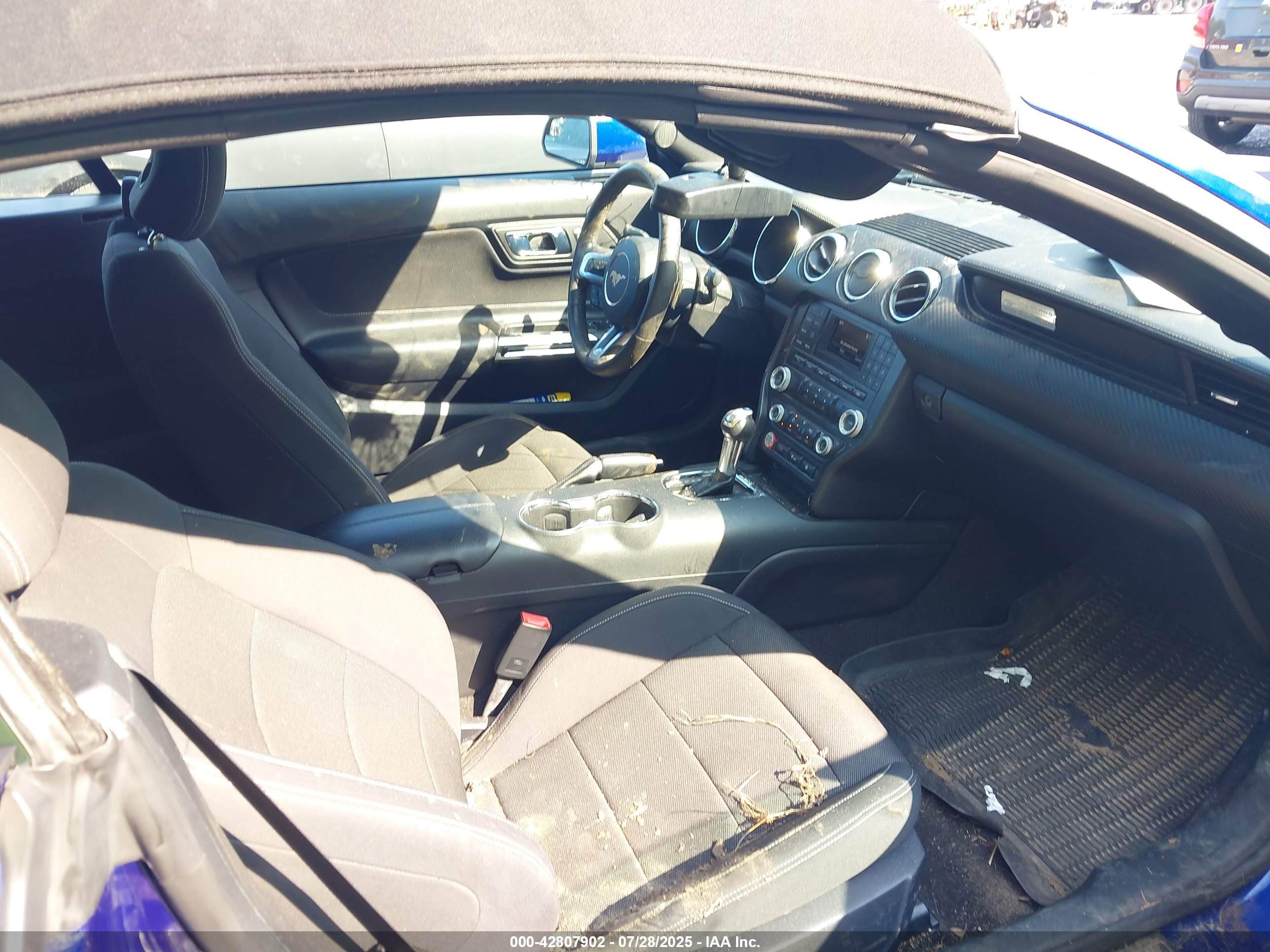 FORD MUSTANG image 5