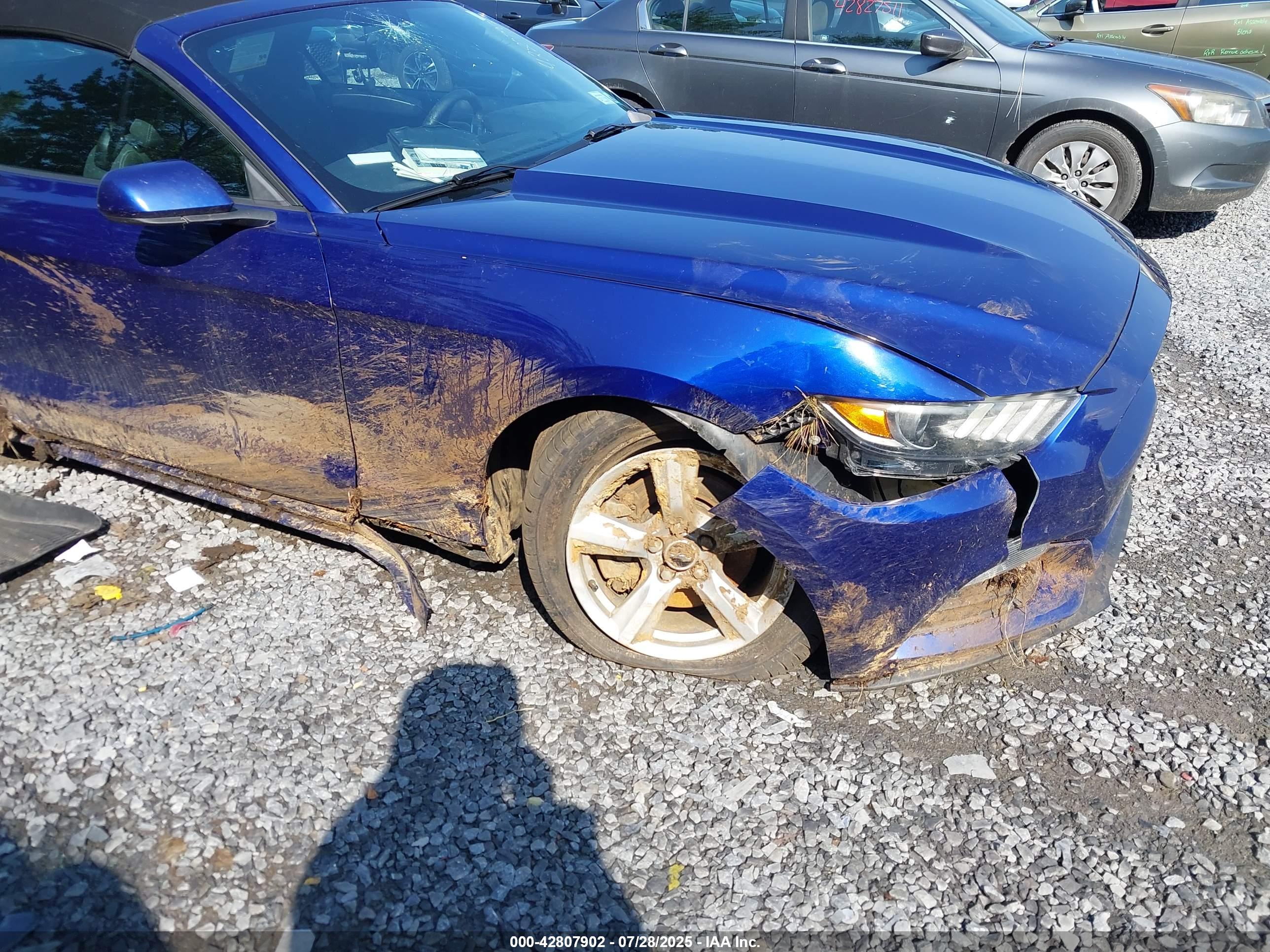FORD MUSTANG image 6
