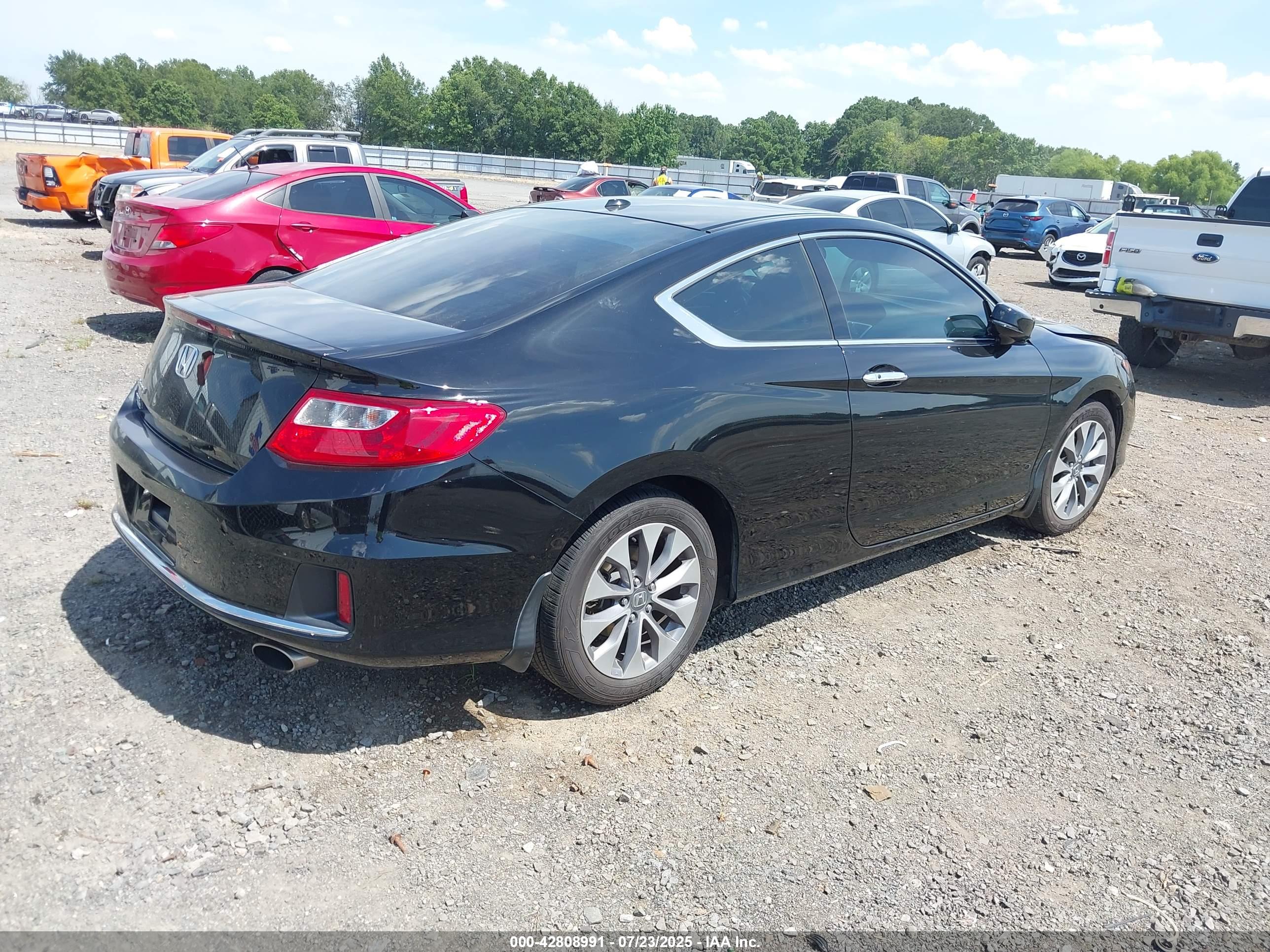 HONDA ACCORD image 4
