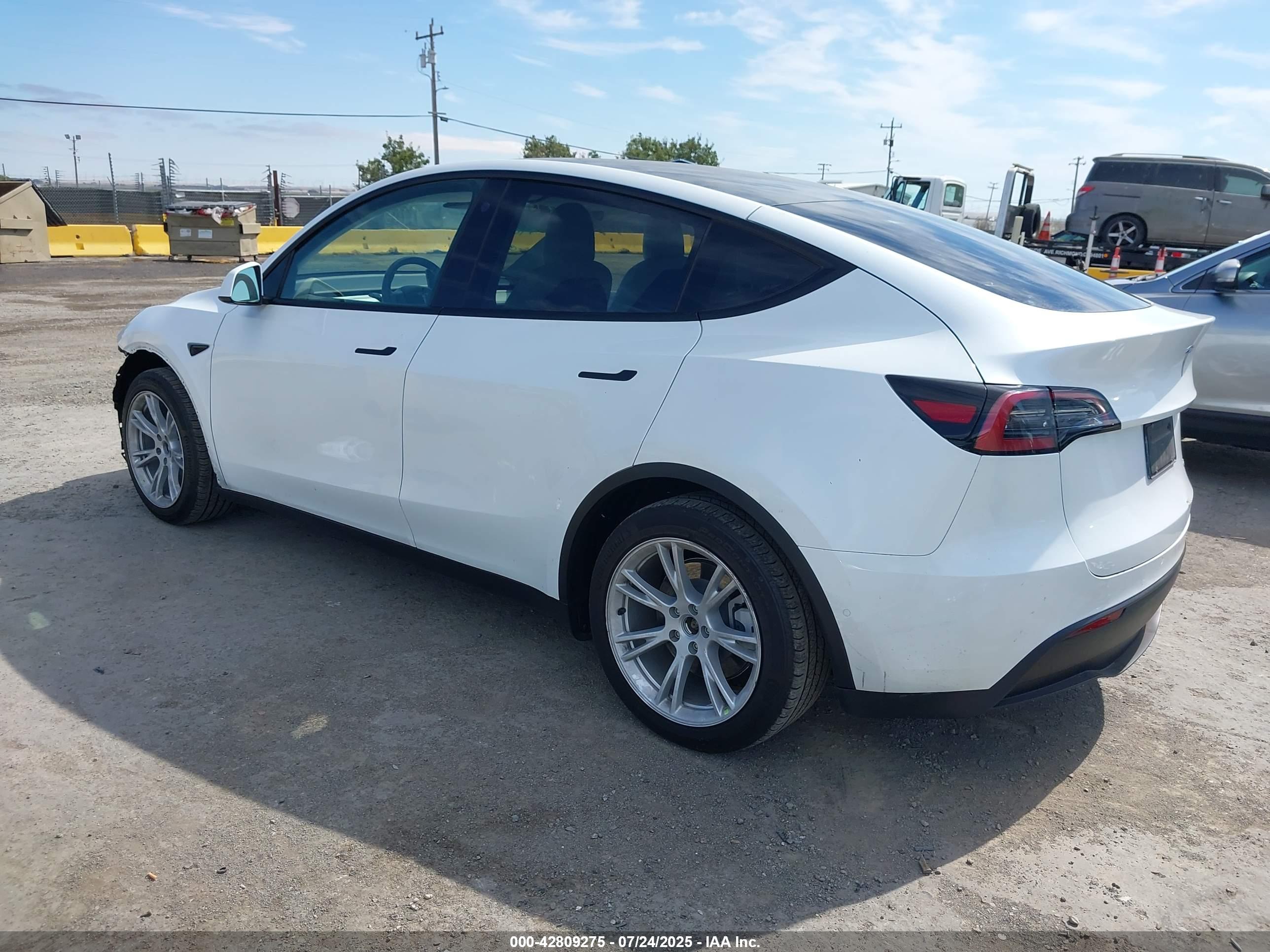 TESLA MODEL image 3