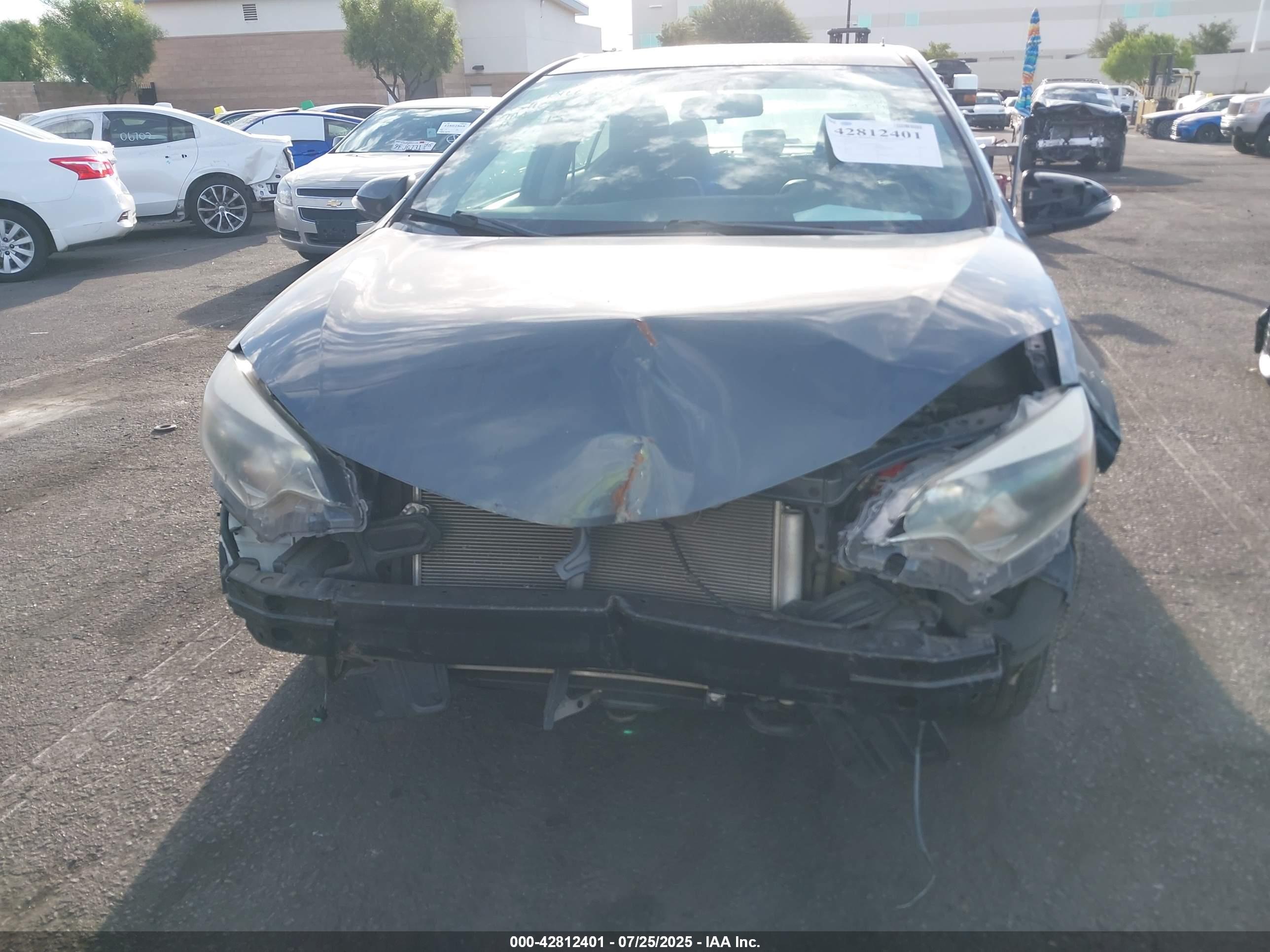 TOYOTA COROLLA image 6