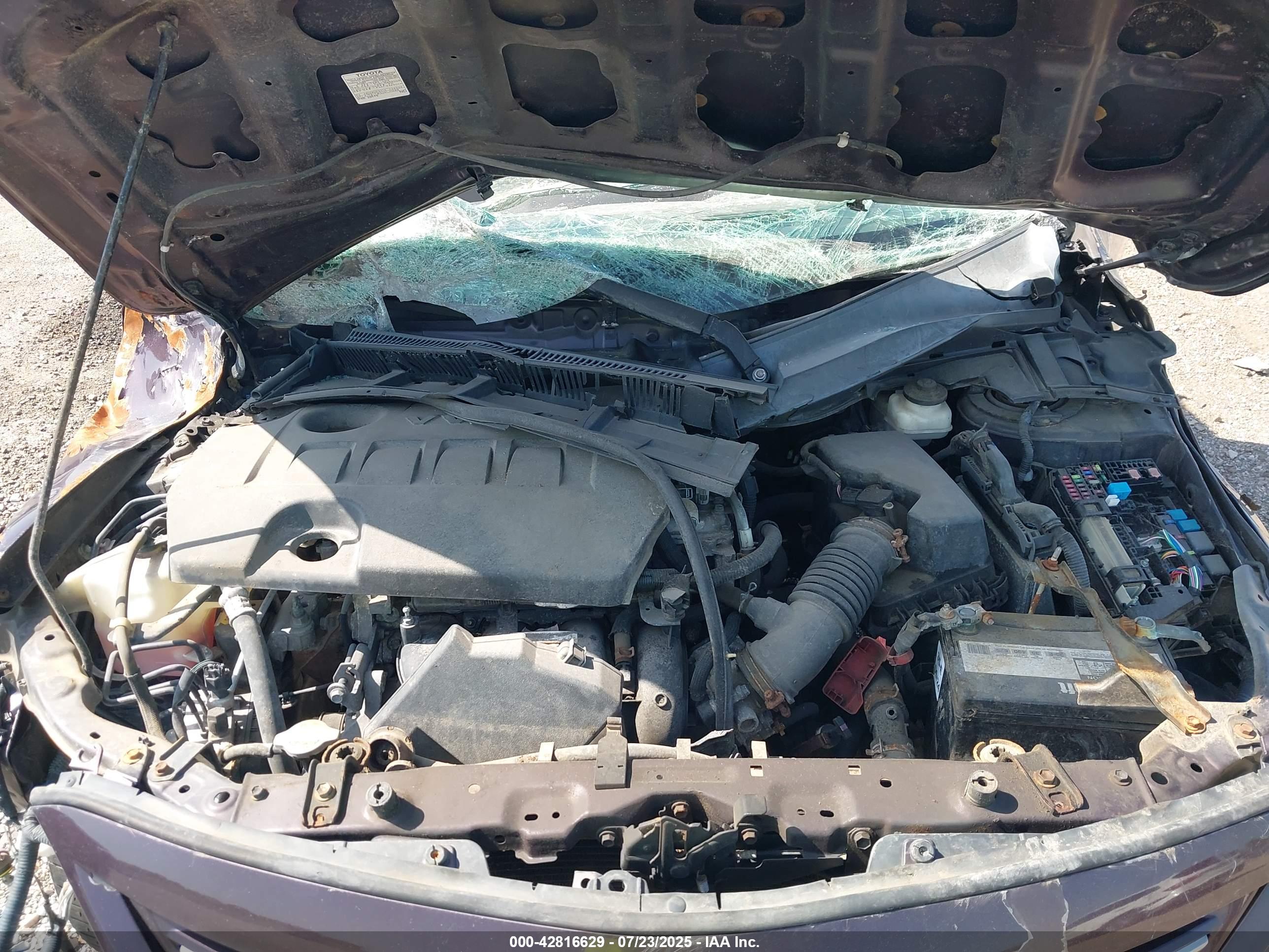 TOYOTA COROLLA image 10