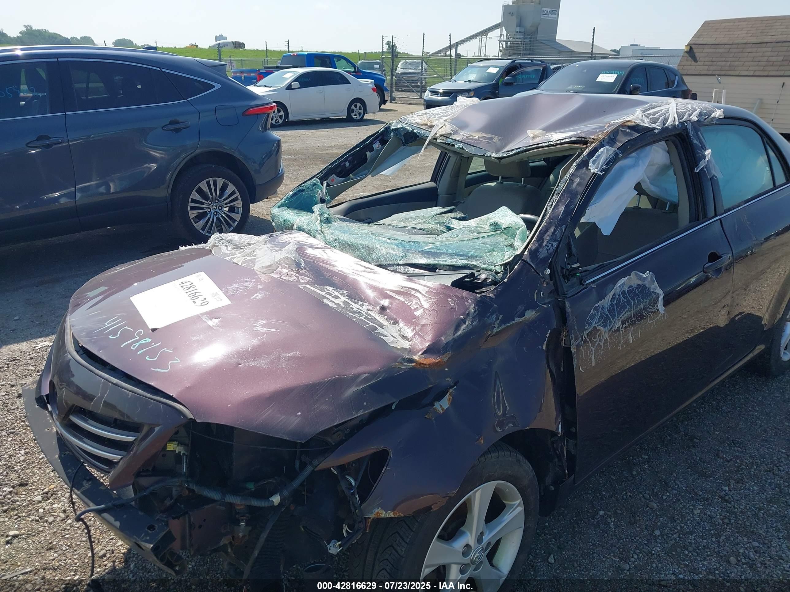 TOYOTA COROLLA image 6