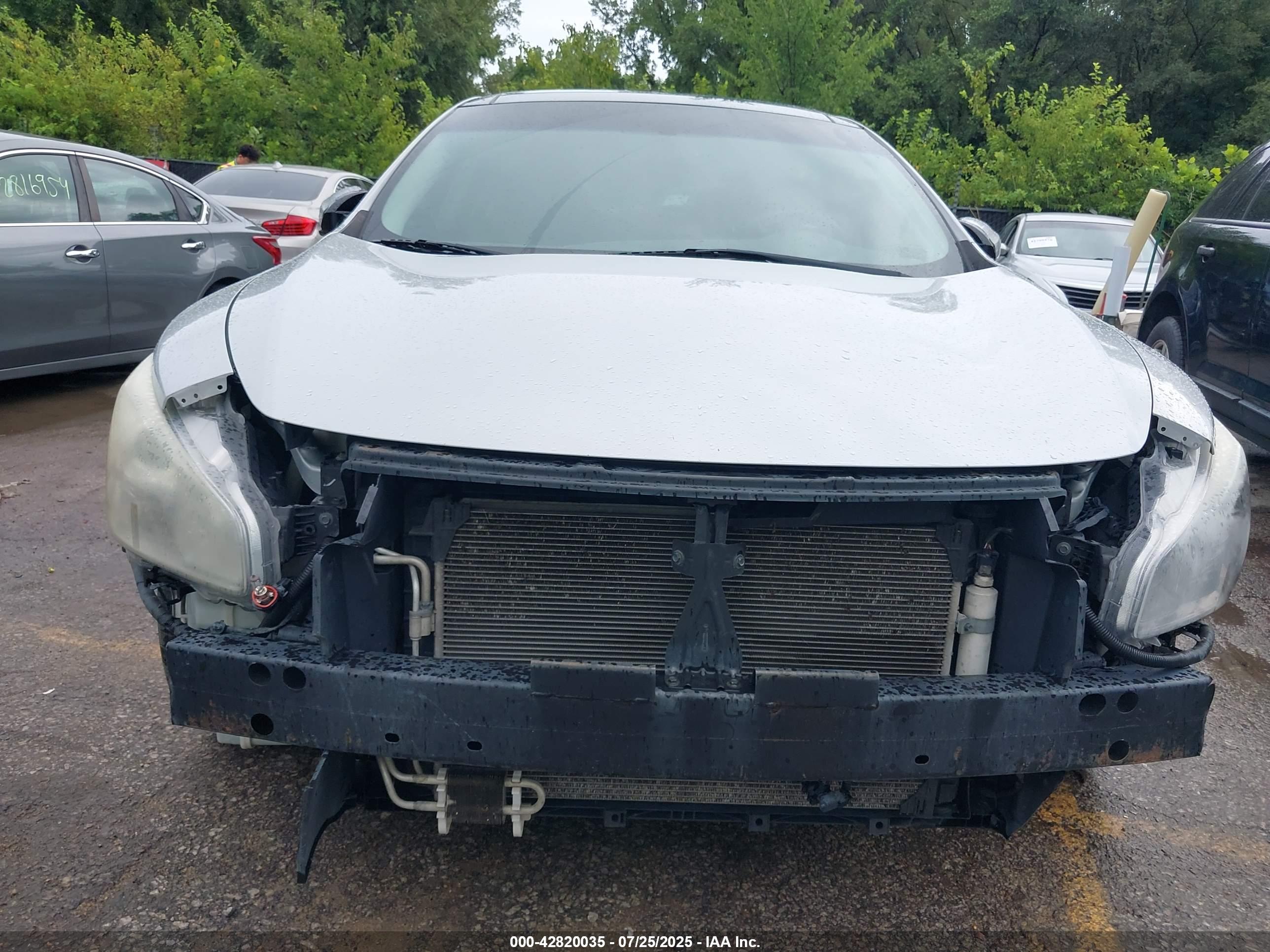 NISSAN MAXIMA image 6