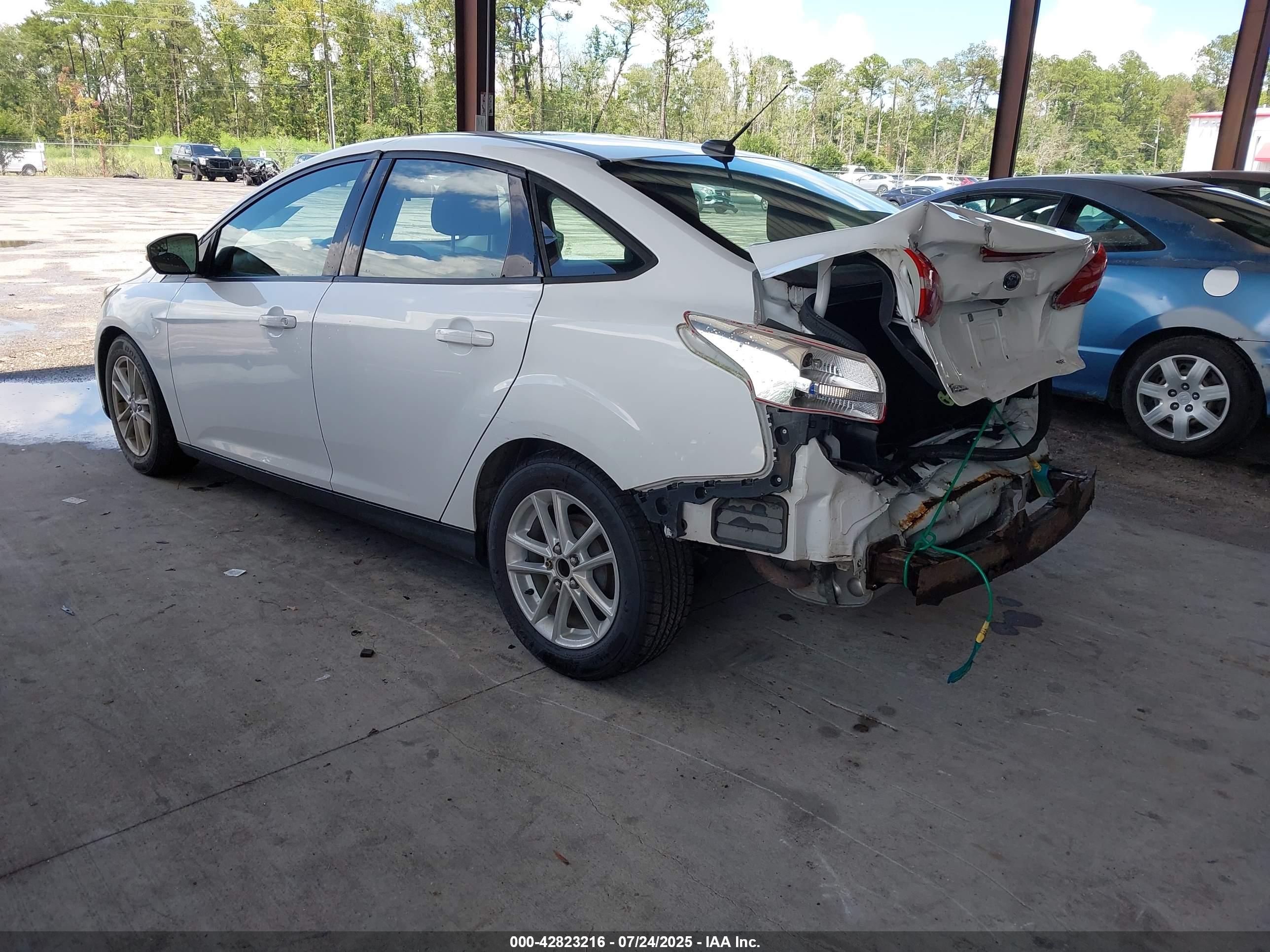 FORD FOCUS image 3