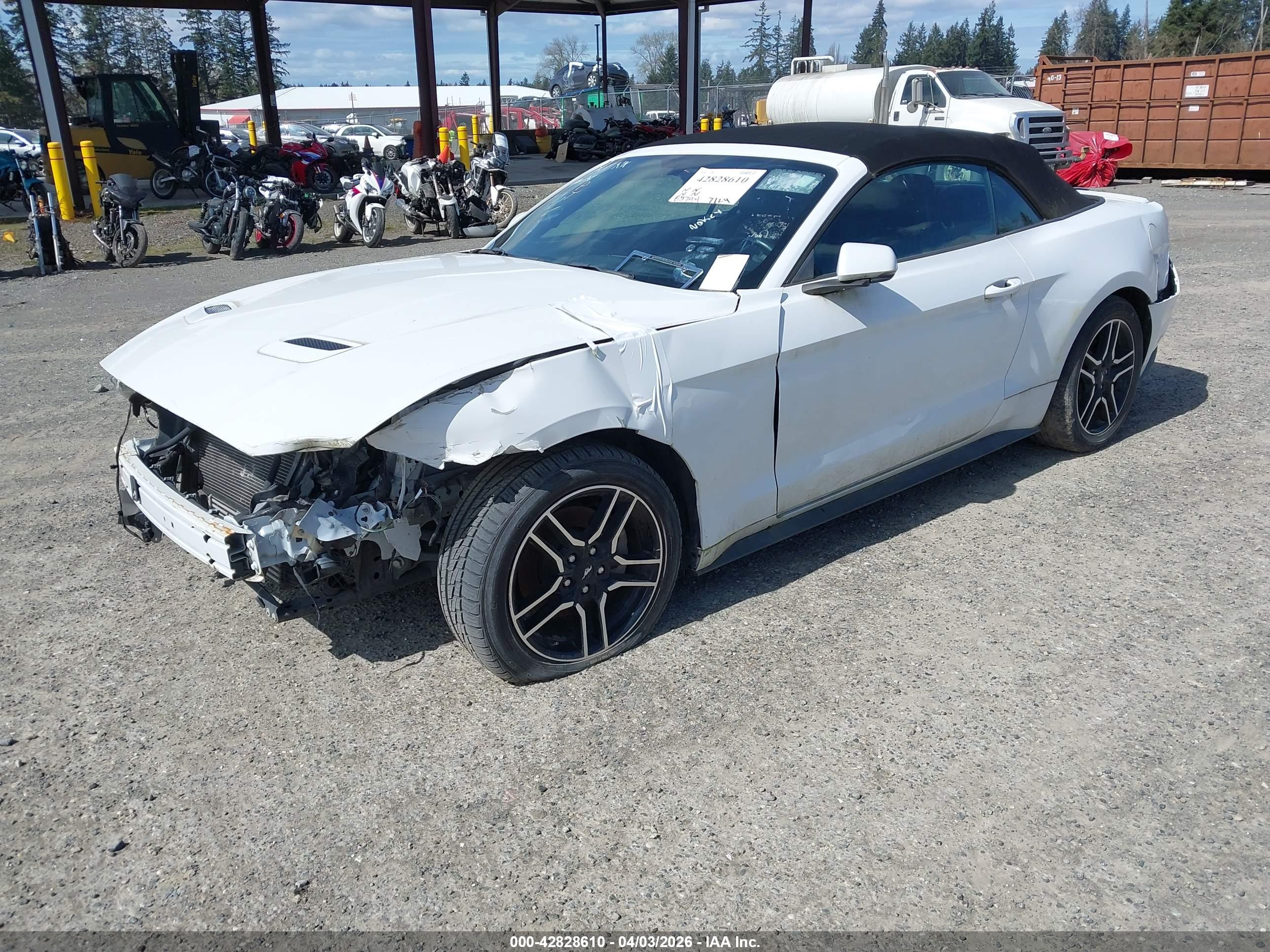 FORD MUSTANG image 2