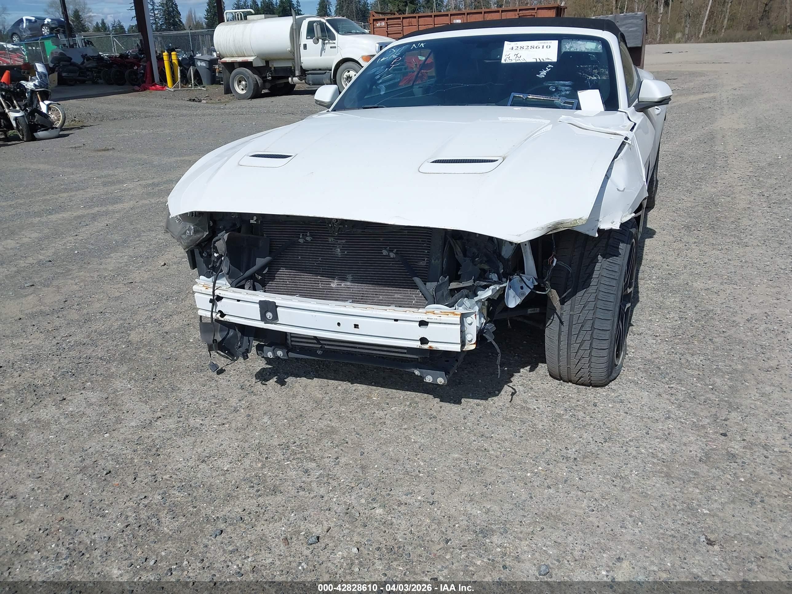 FORD MUSTANG image 6