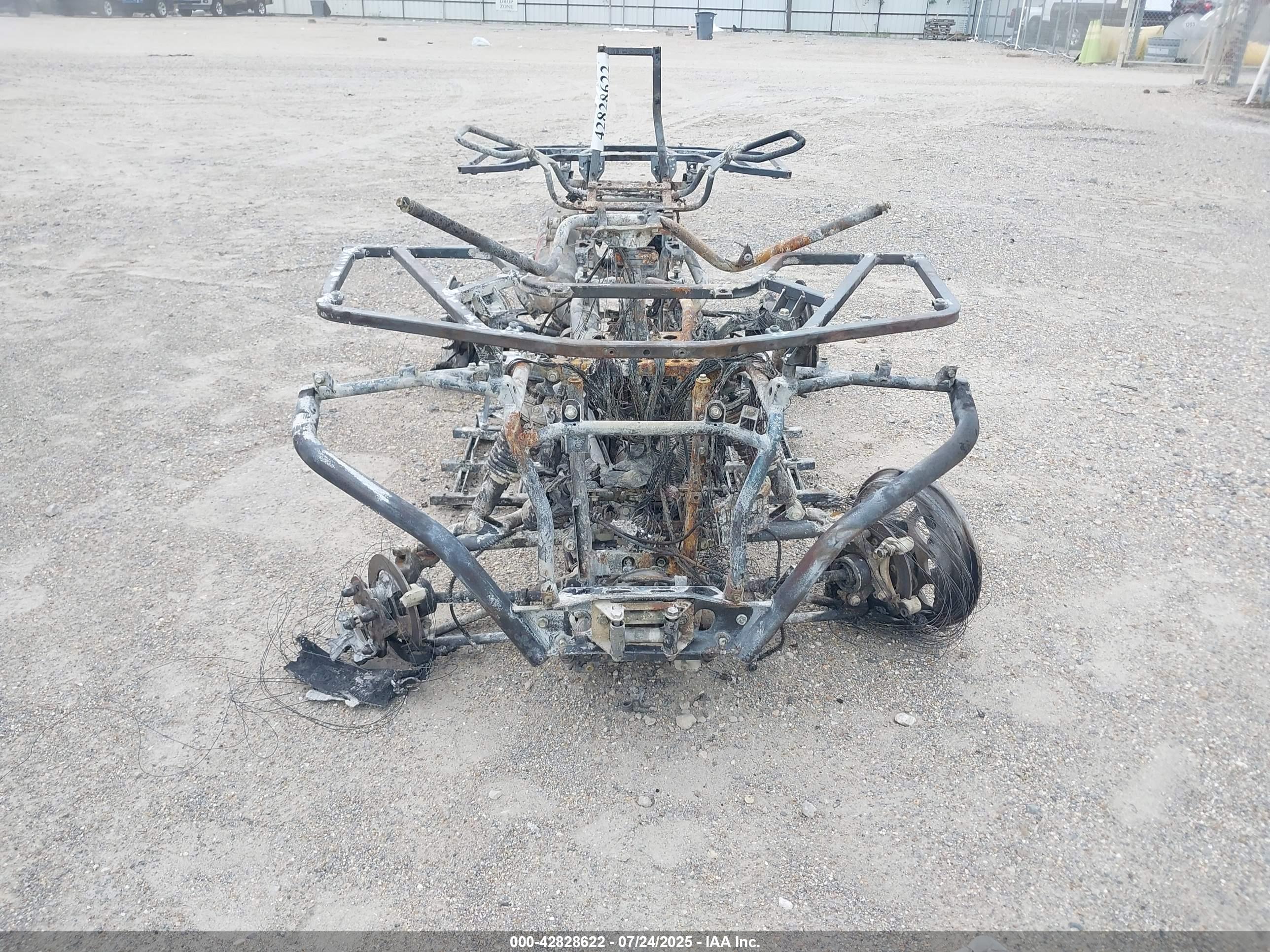 CF MOTO image 5