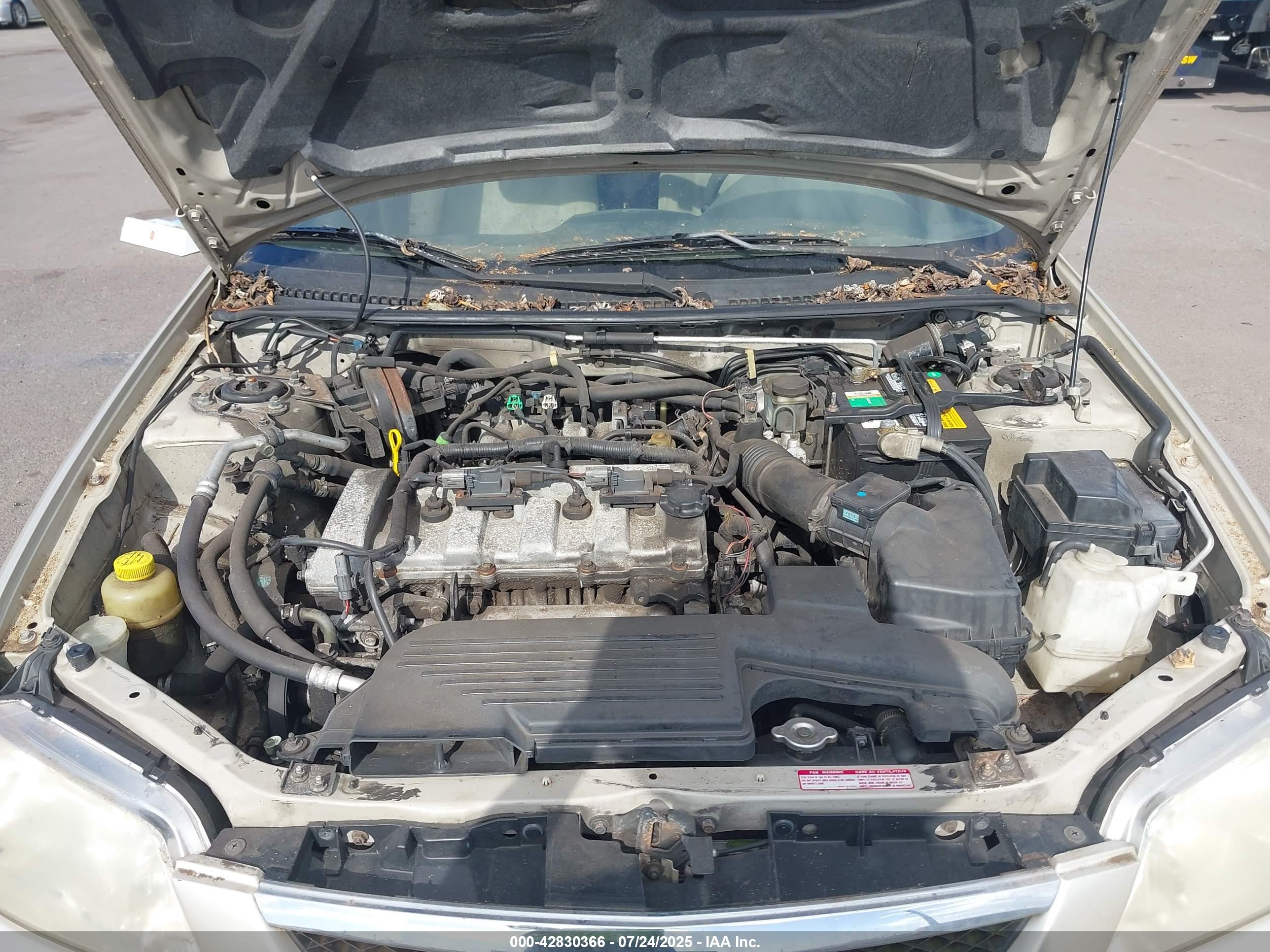 MAZDA PROTEGE image 10