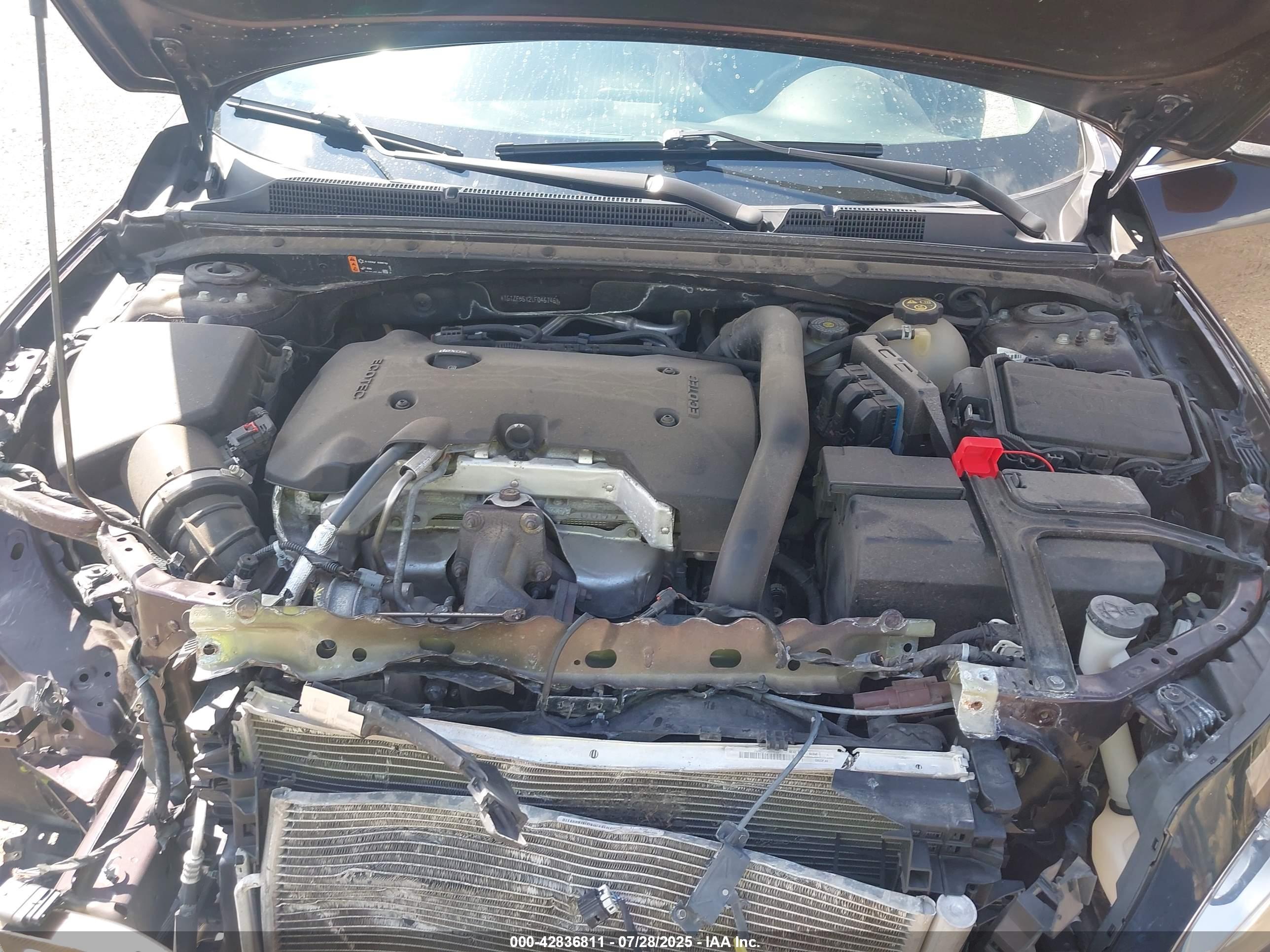 CHEVROLET MALIBU image 10