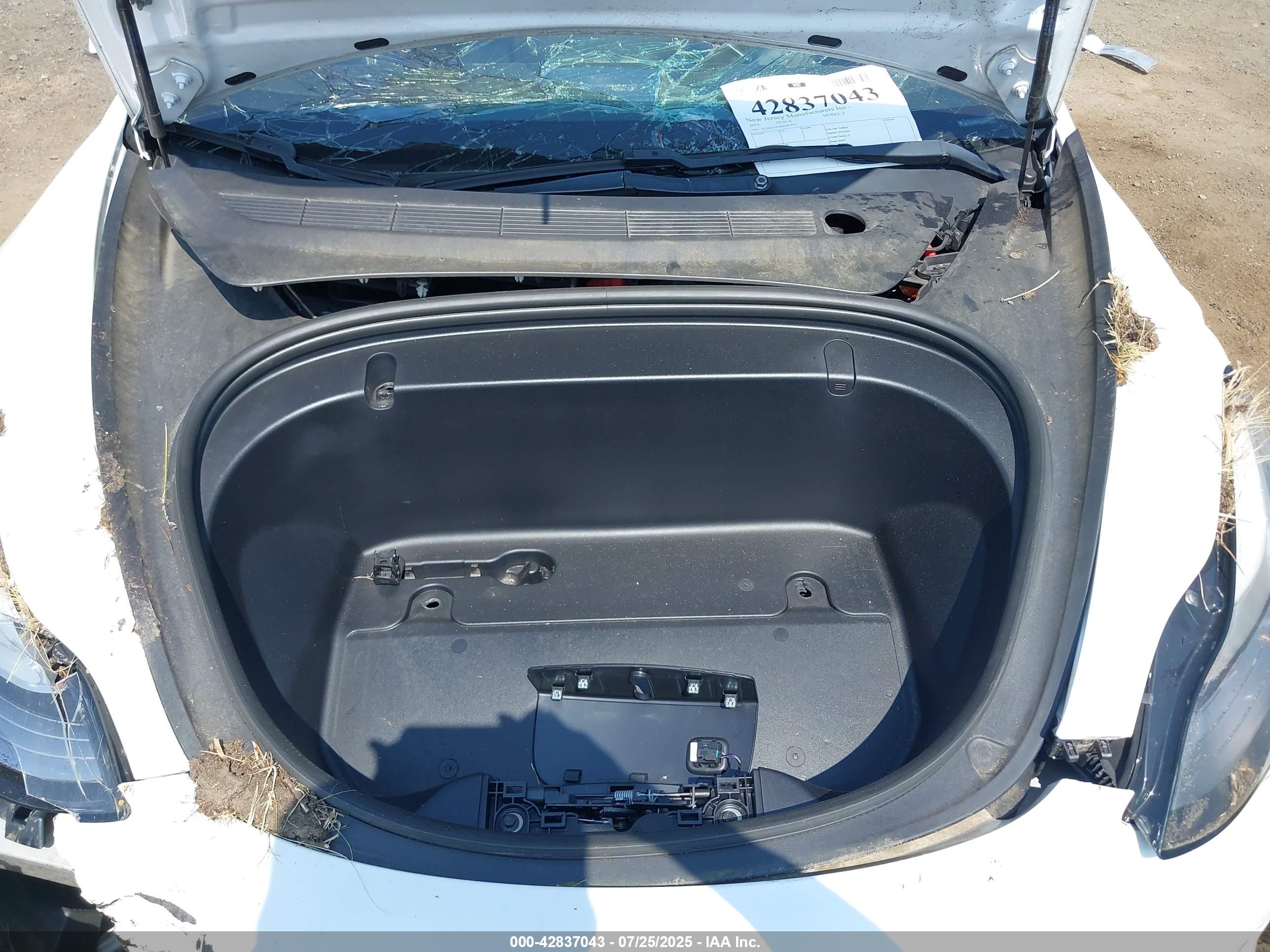 TESLA MODEL image 10