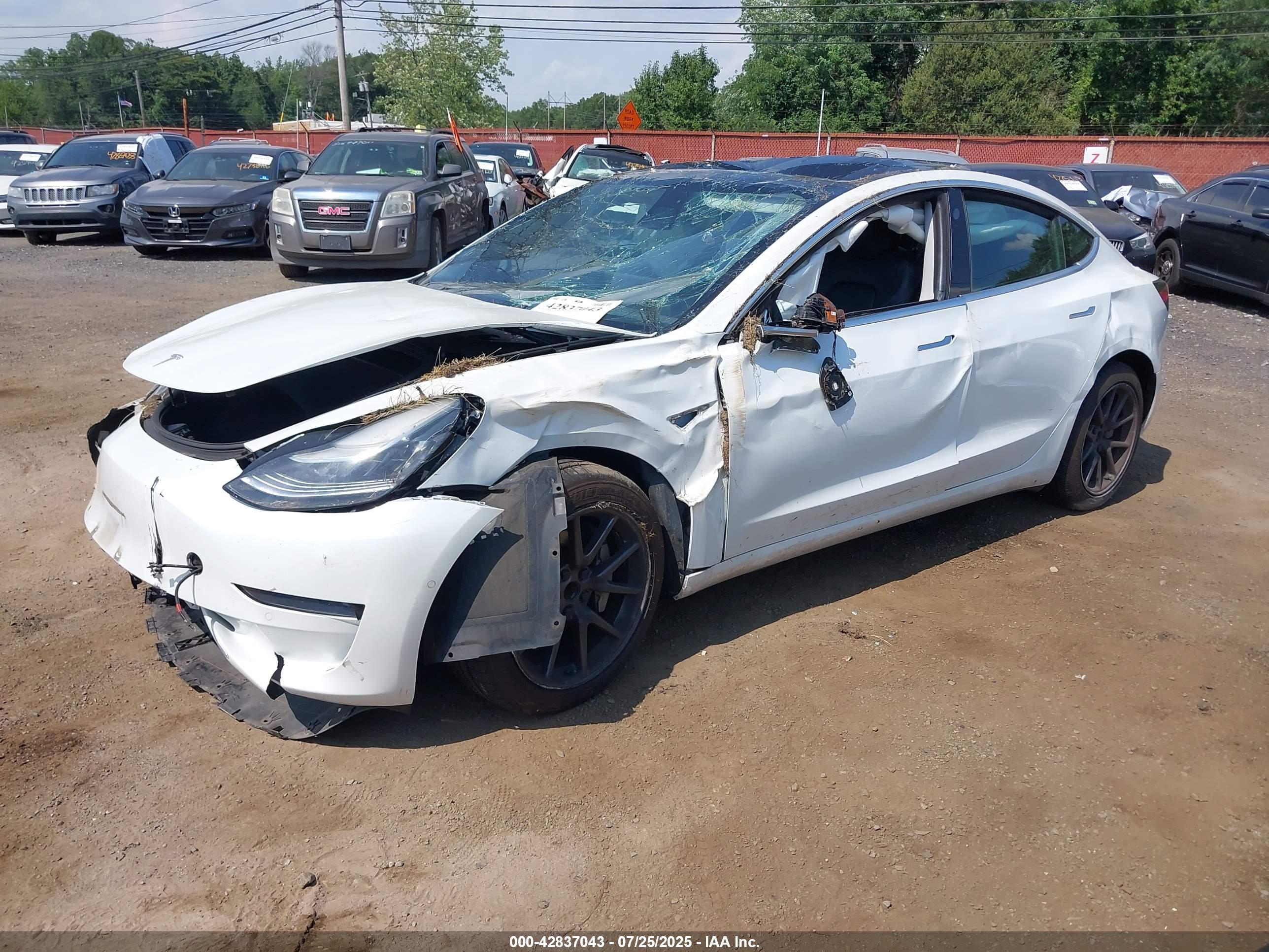 TESLA MODEL image 2