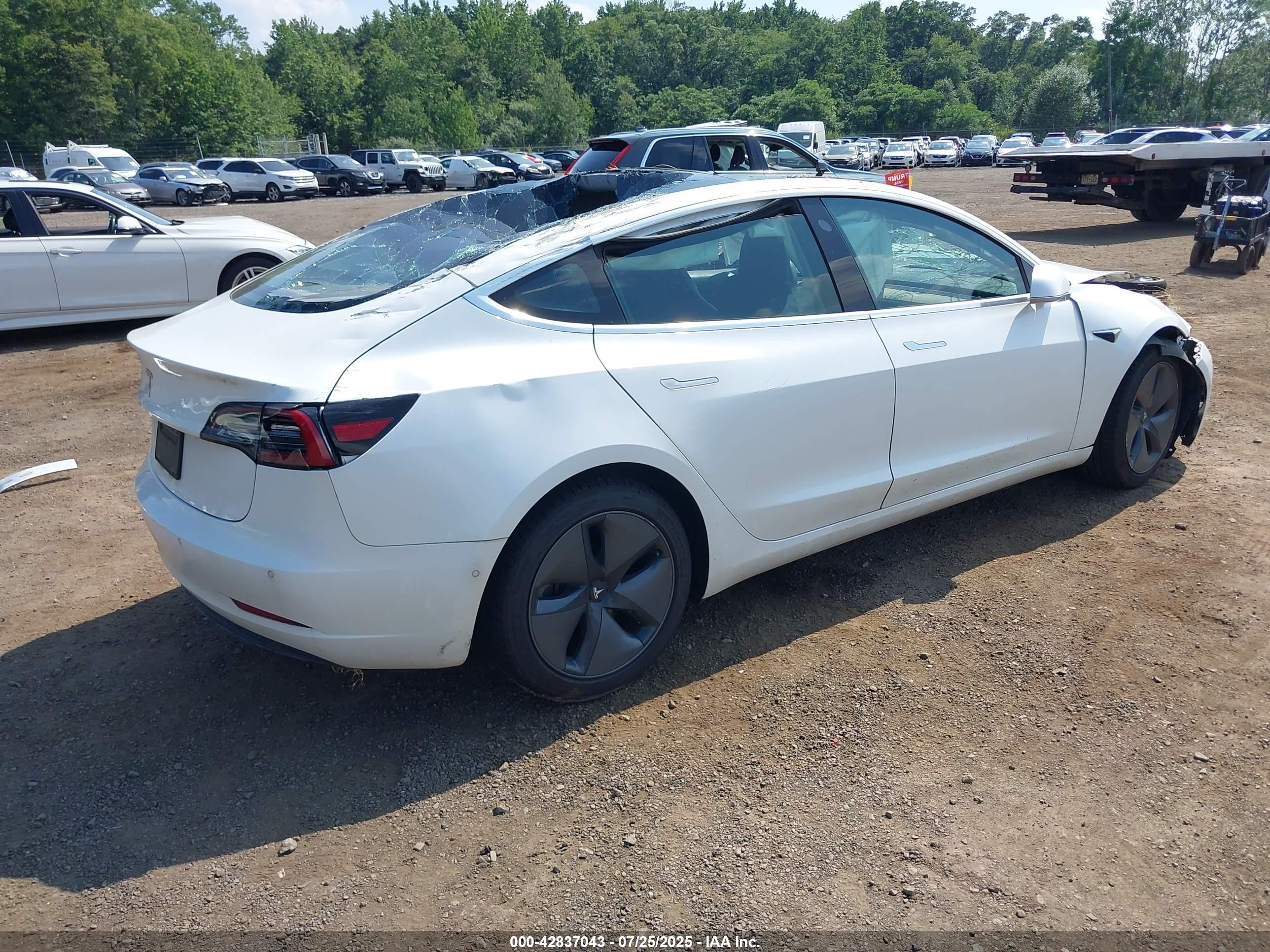 TESLA MODEL image 4