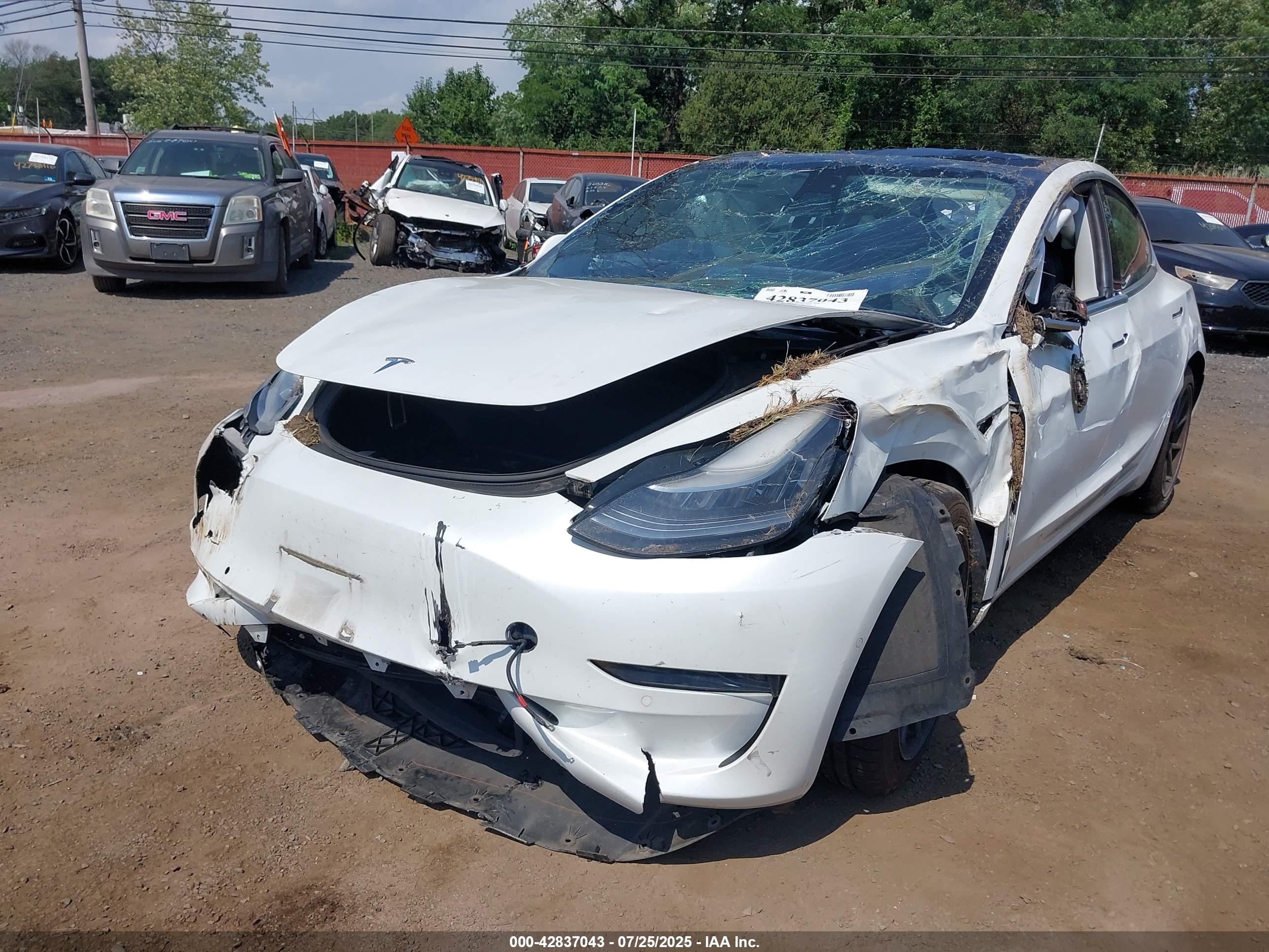 TESLA MODEL image 6