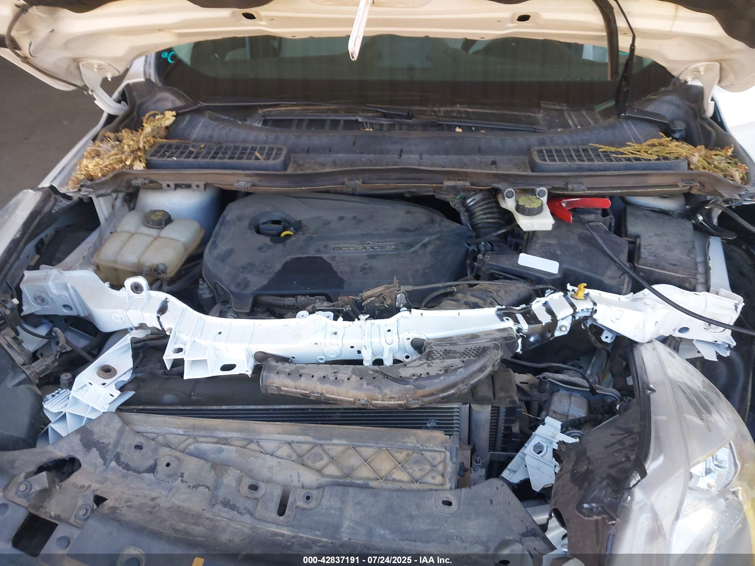 FORD ESCAPE image 10