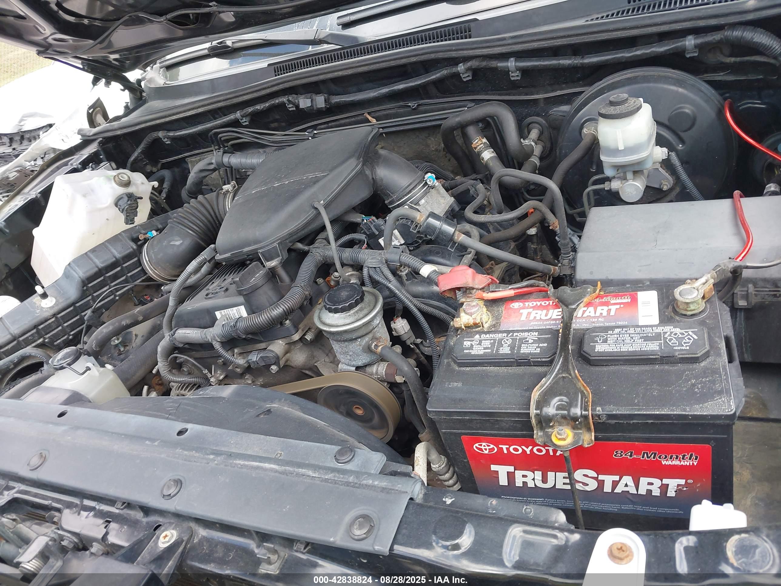 TOYOTA TACOMA image 10