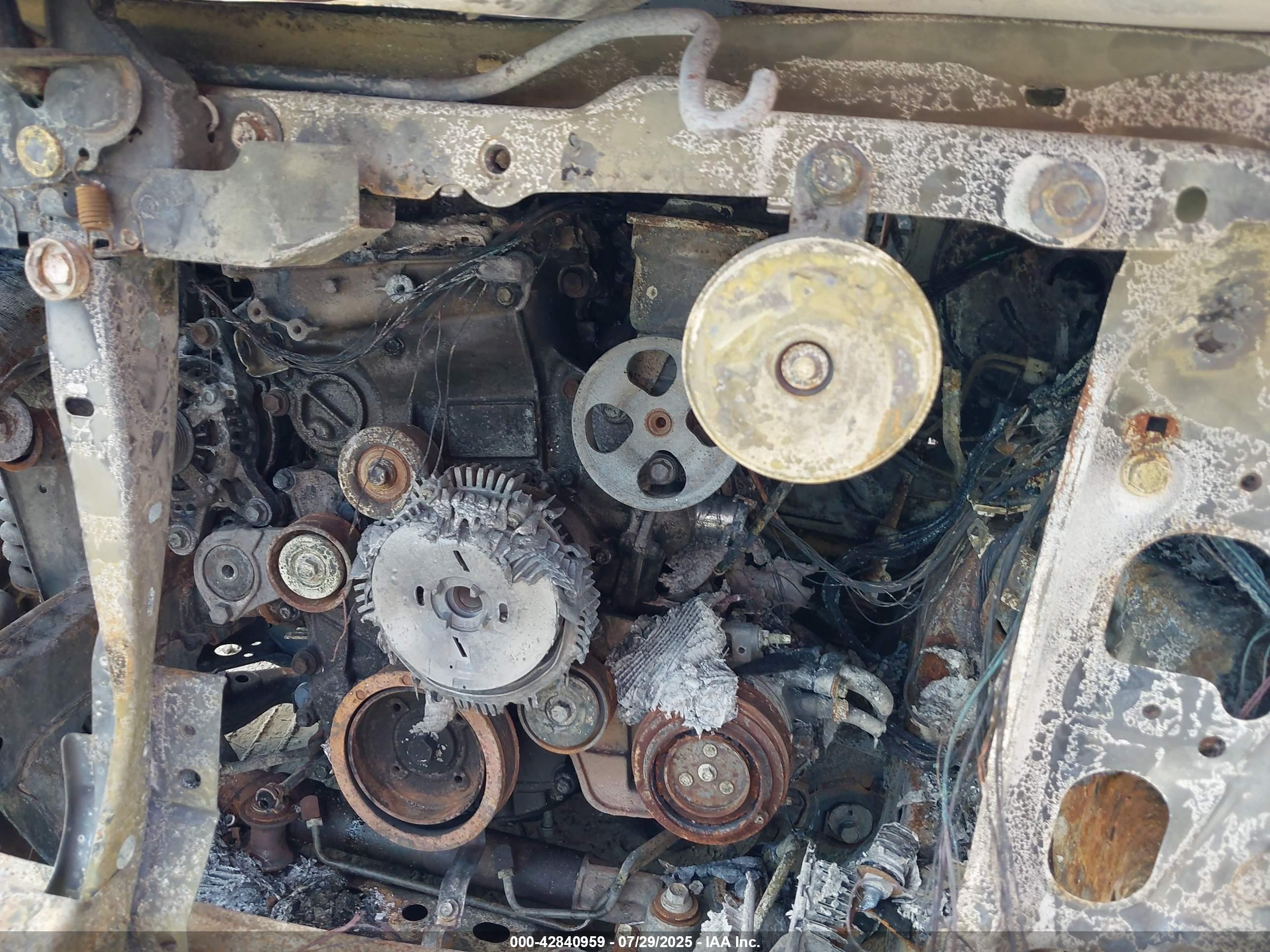 TOYOTA TACOMA image 10