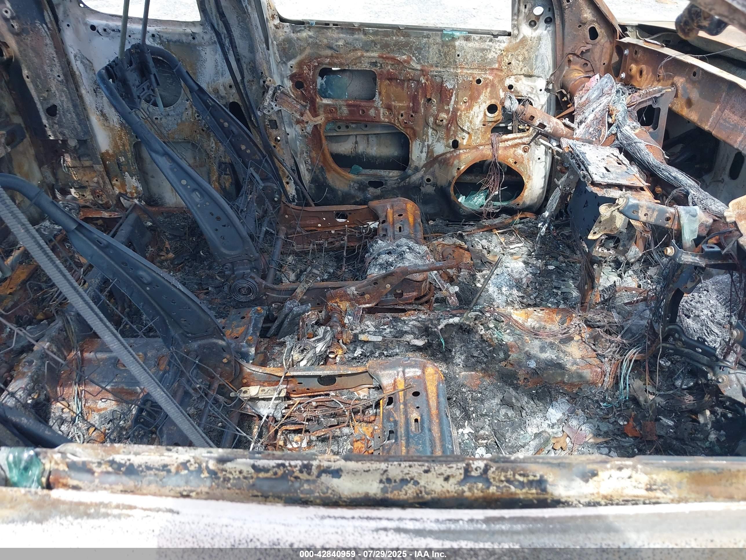 TOYOTA TACOMA image 5