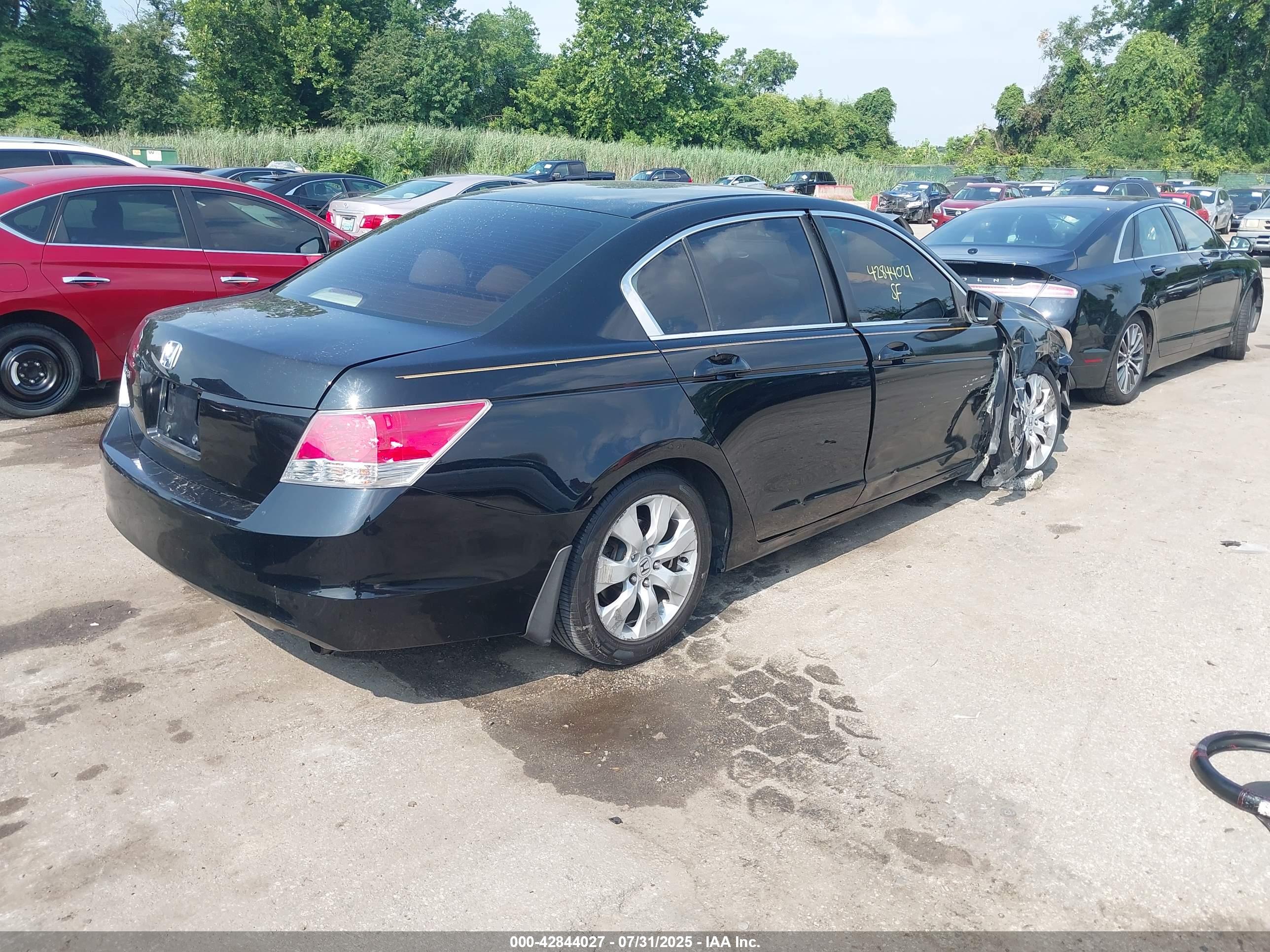 HONDA ACCORD image 4