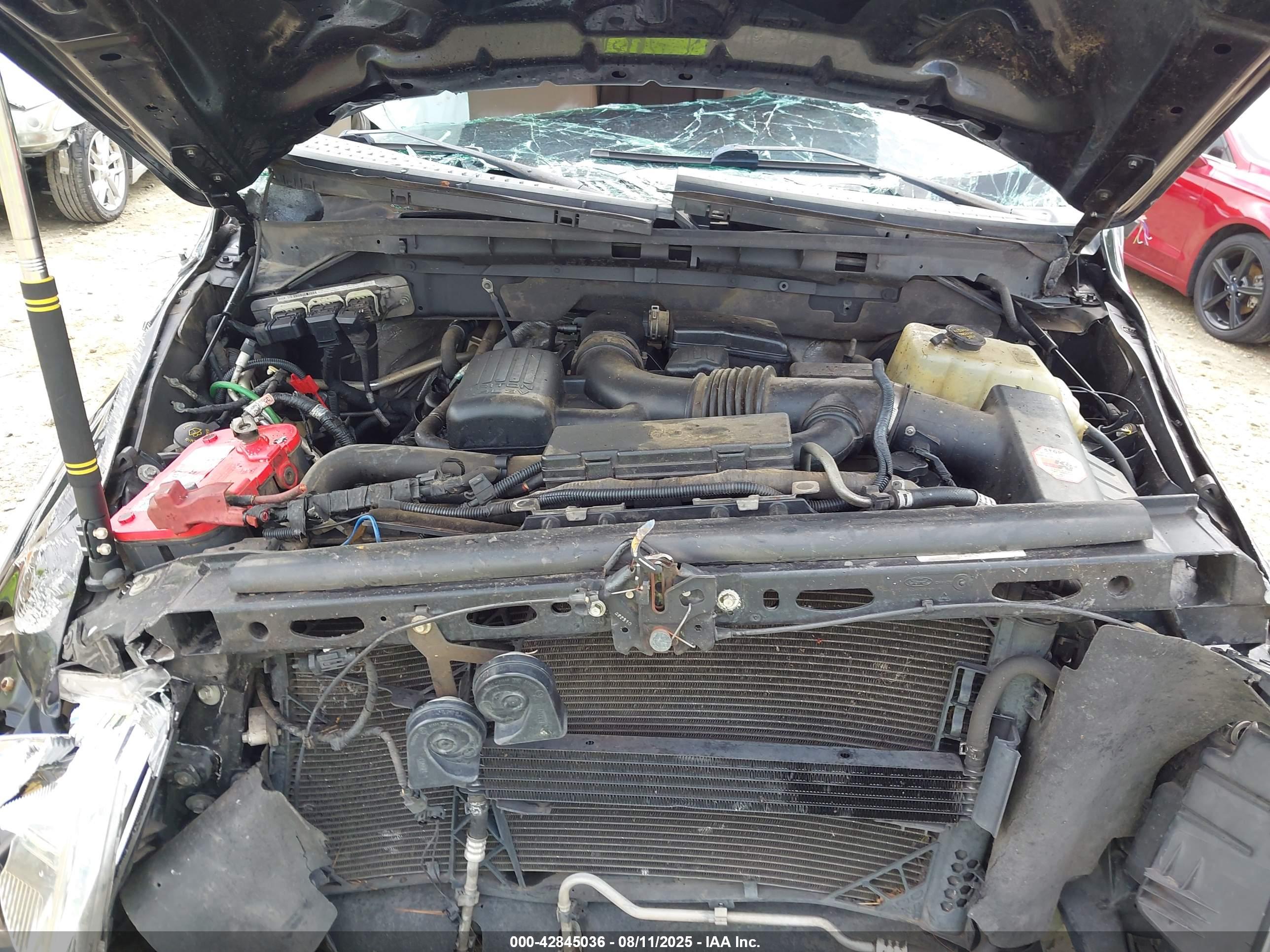 FORD F-150 image 10