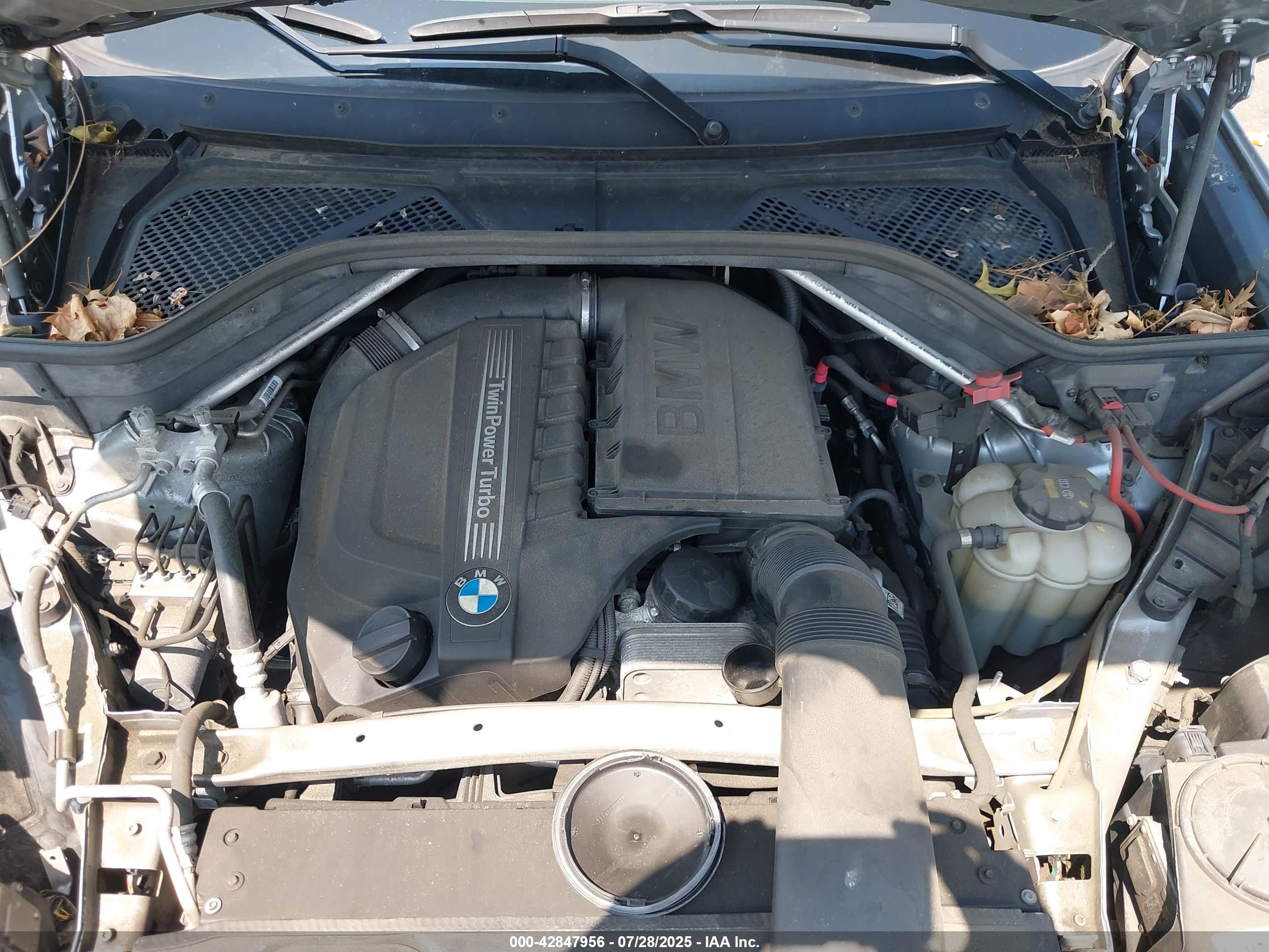 BMW X6 image 10