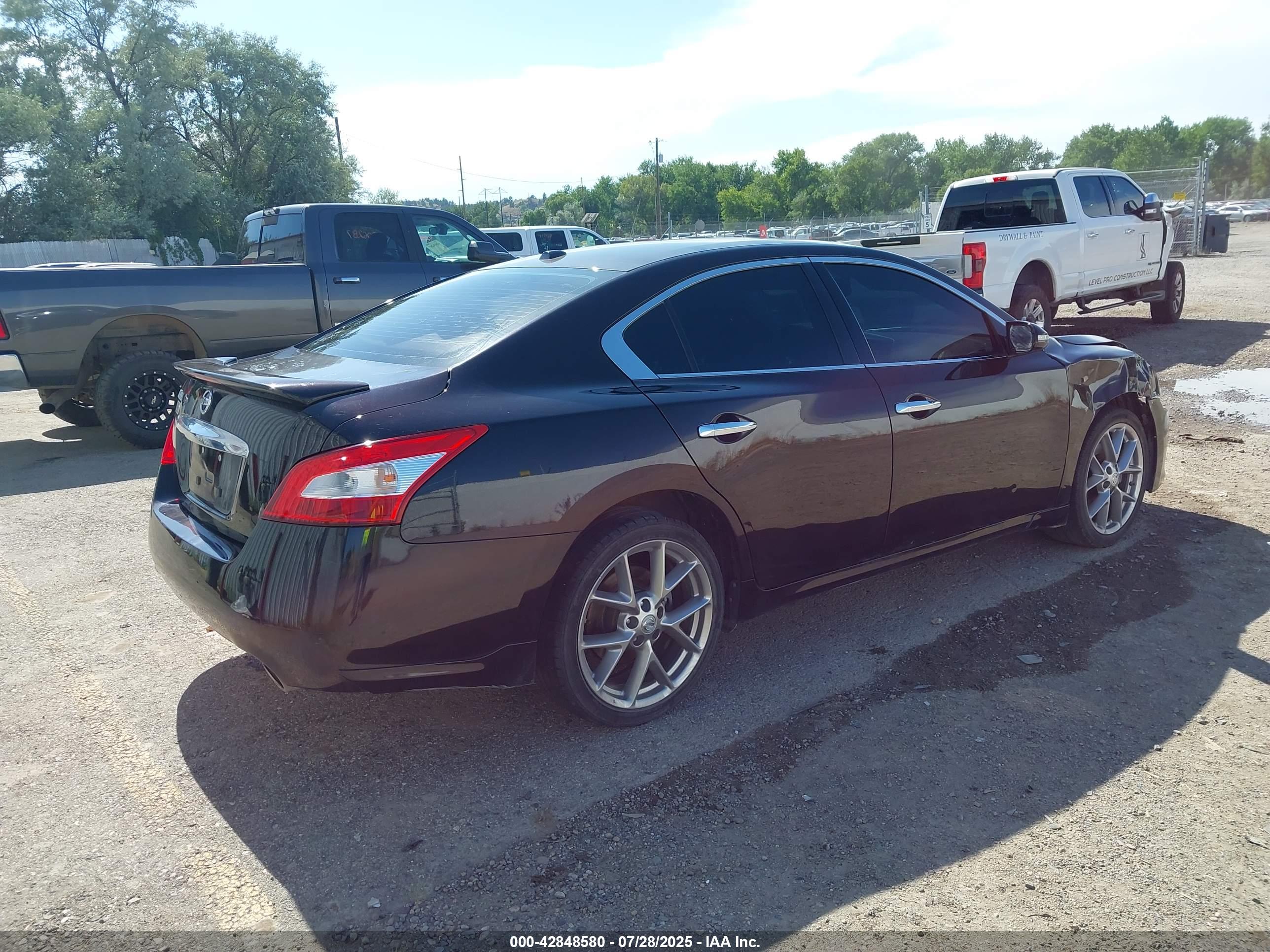 NISSAN MAXIMA image 4