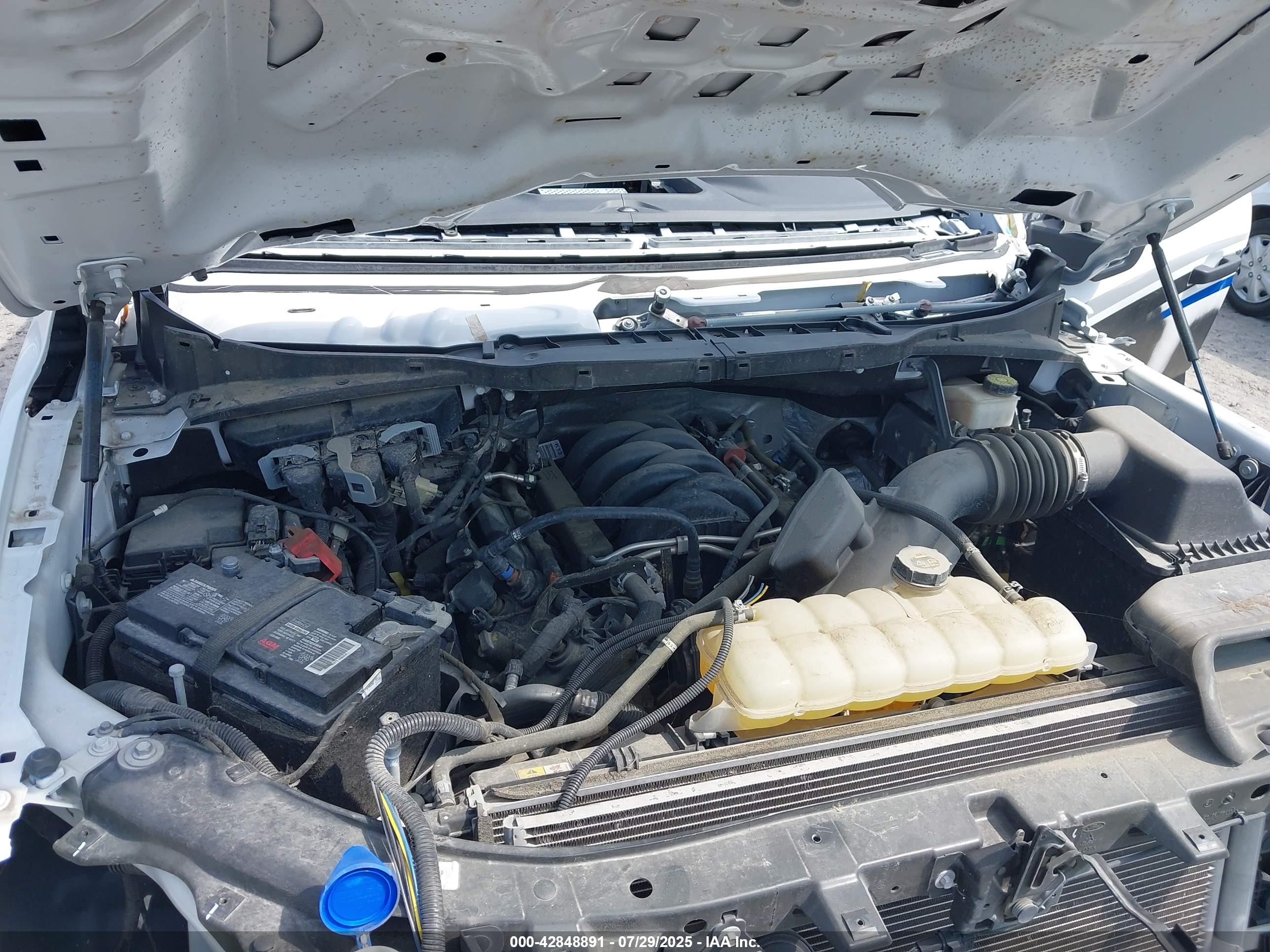 FORD F-150 image 10