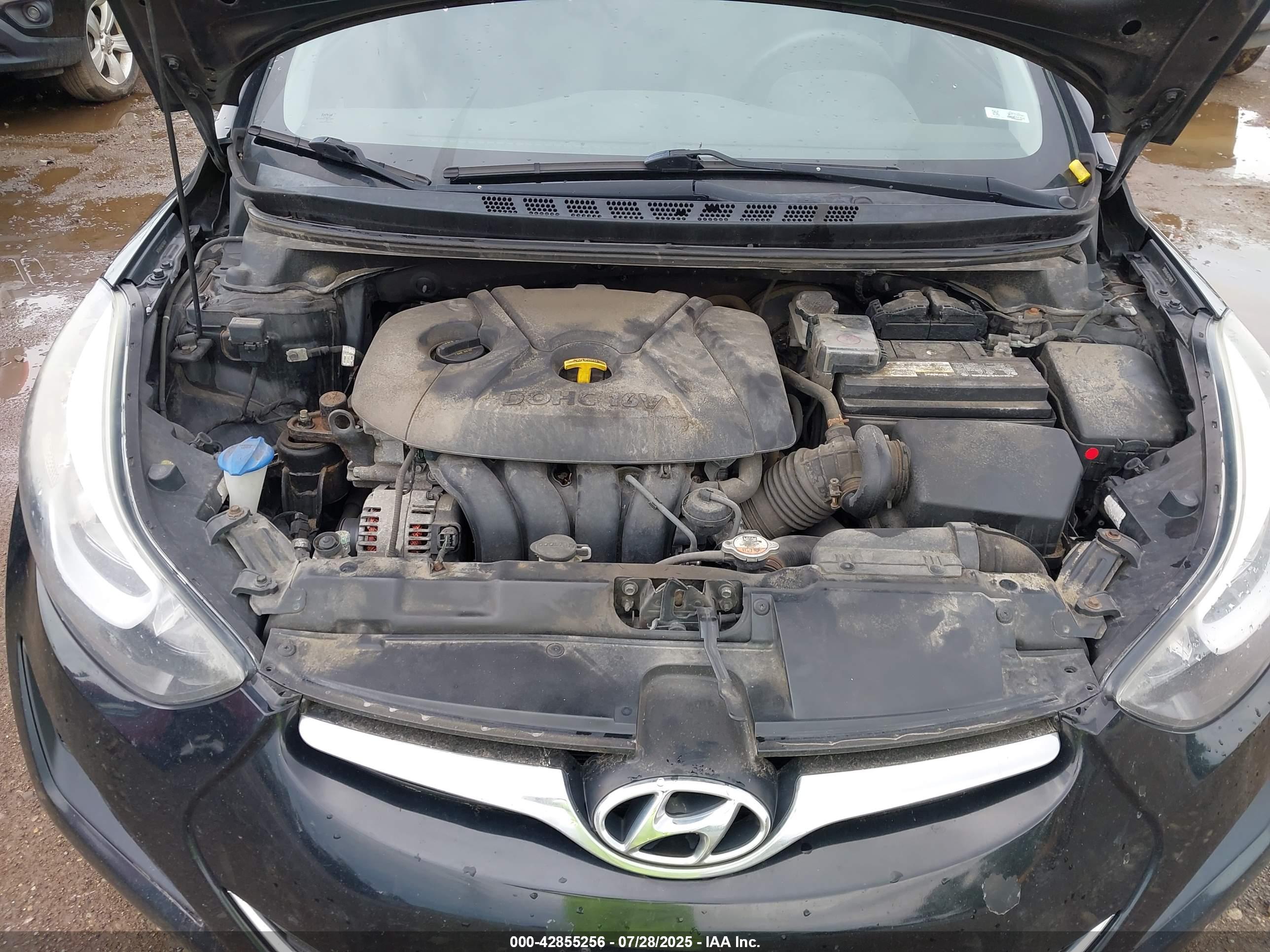 HYUNDAI ELANTRA image 10